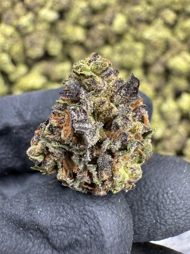 Hash Burger - THCA BULK FLOWER - MEDIUMS - CLASSIC RESERVE