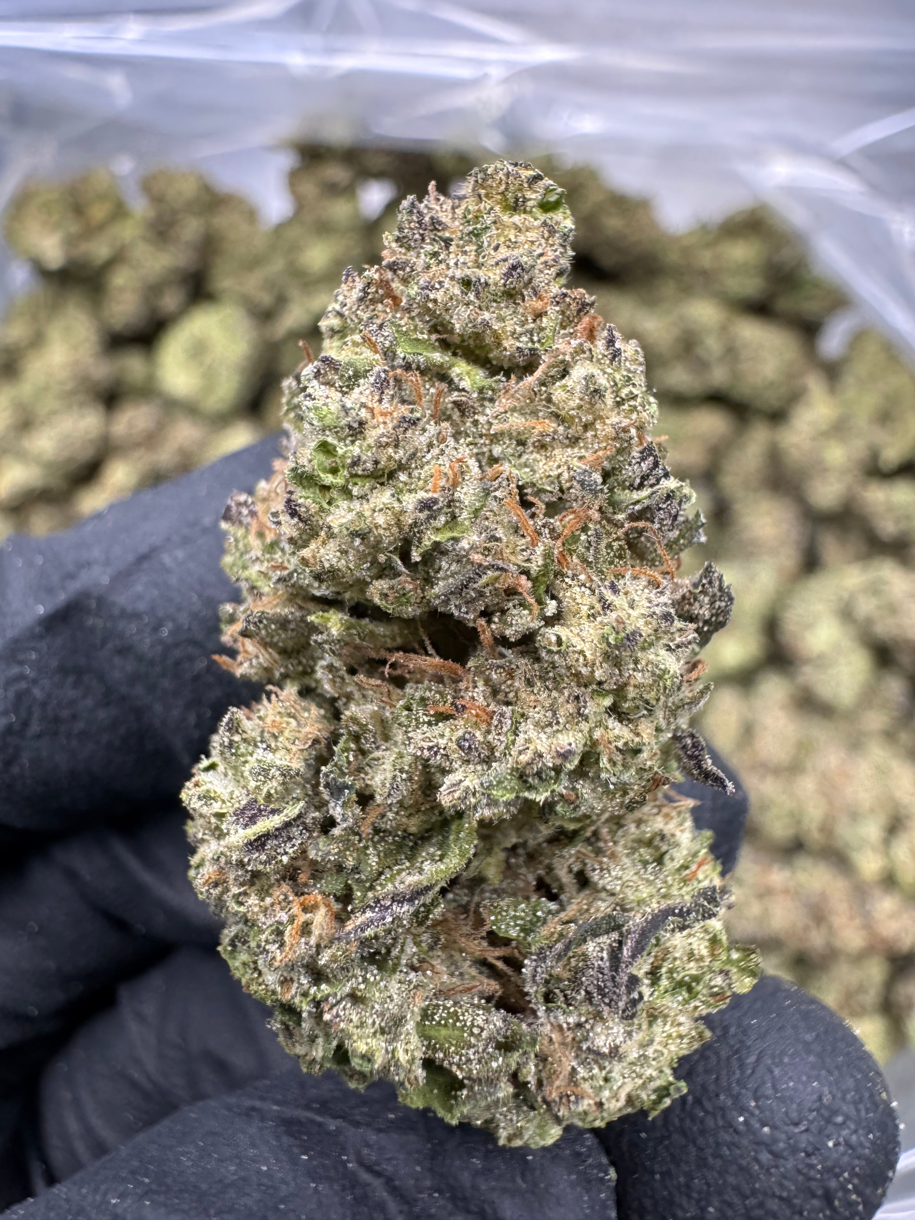 Hash Burger - THCA BULK Flower - Greenhouse