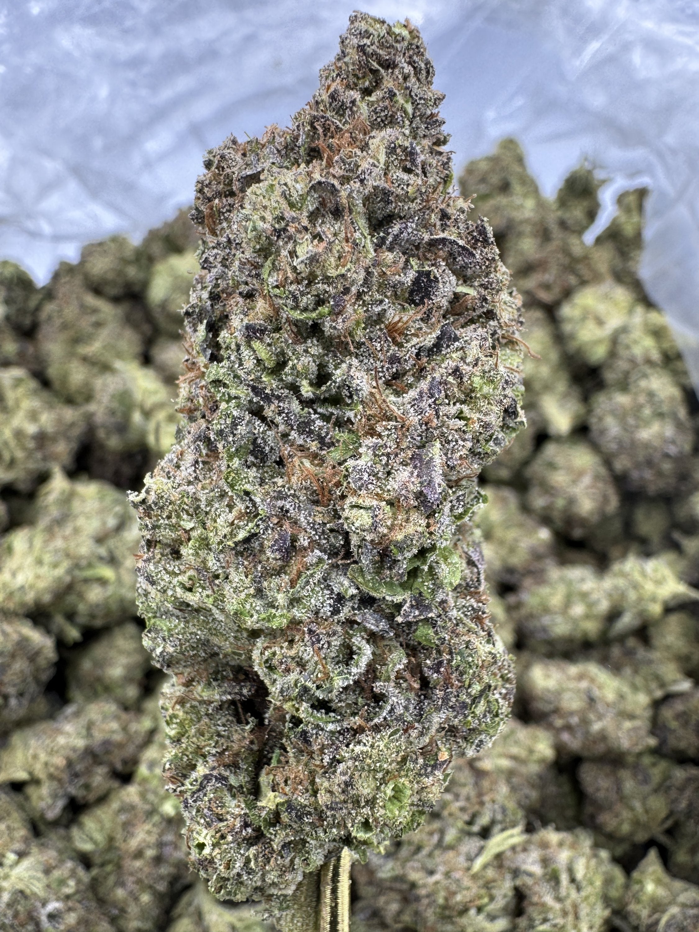 Hash Burger - THCA BULK Flower - Greenhouse