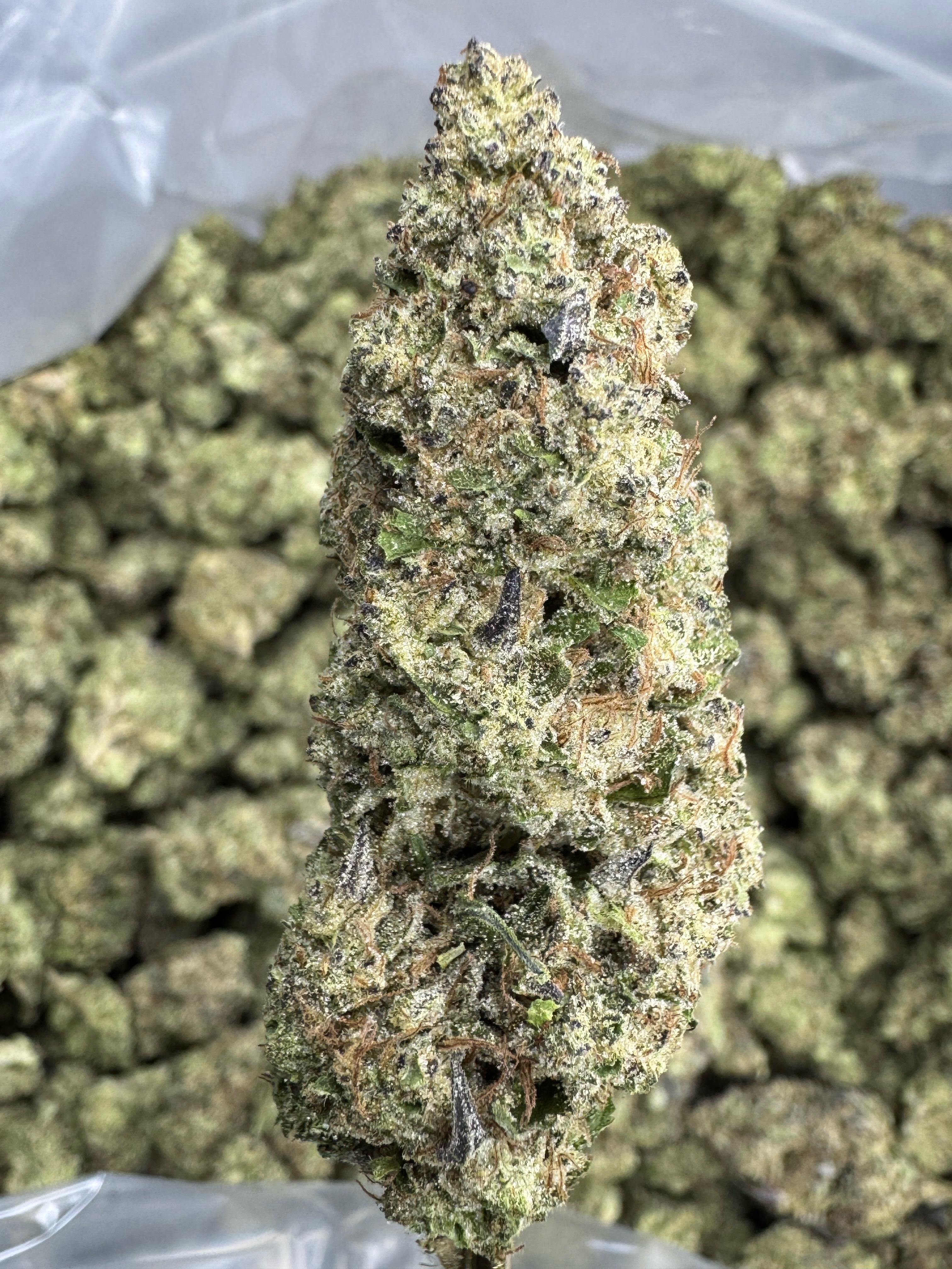 Hash Burger - THCA Flower - Indoor Top Cut
