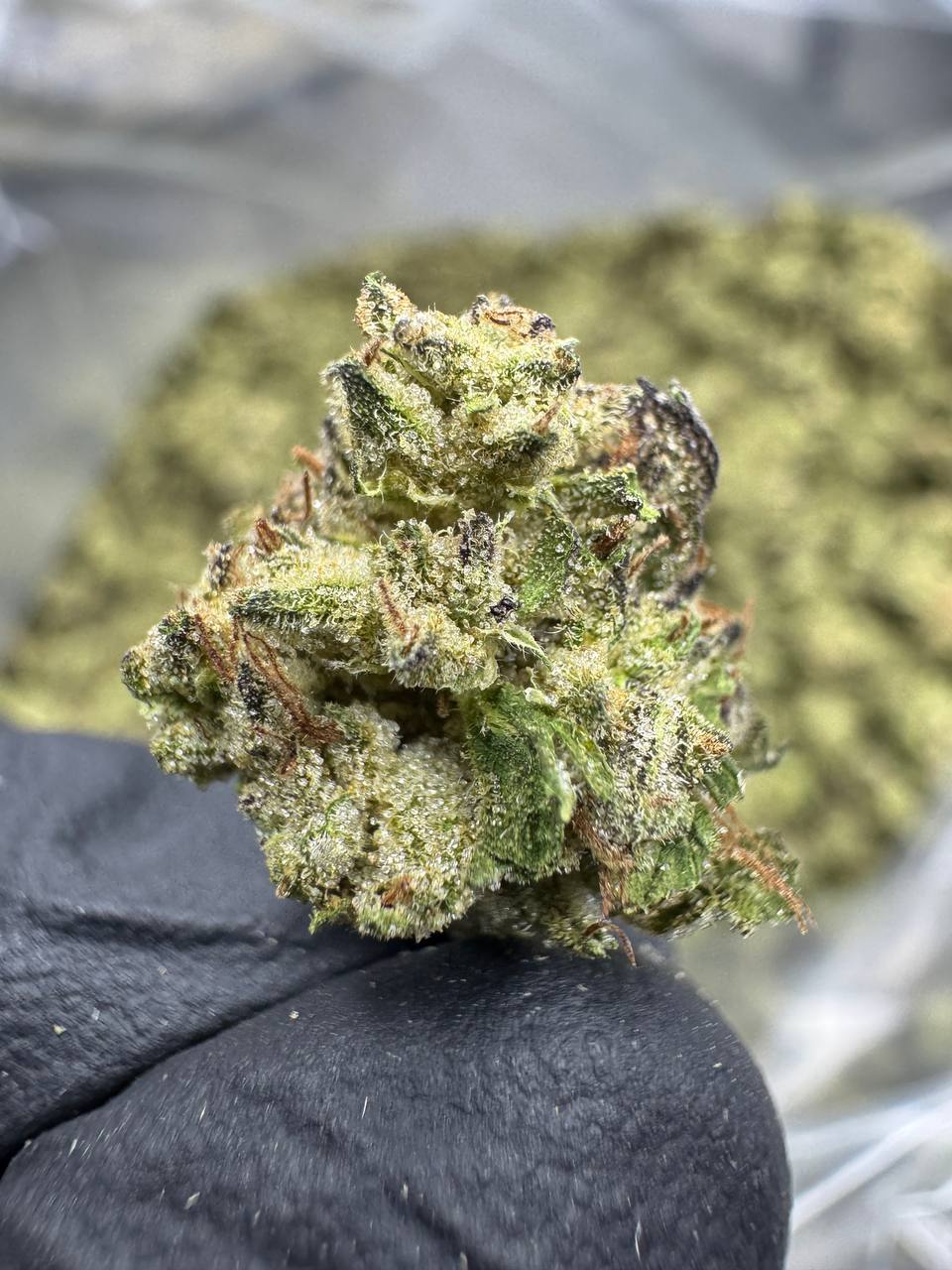 Hash Burger - THCA BULK Flower - Indoor Smalls