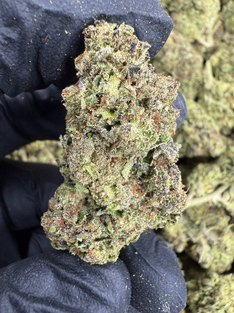 Hash Burger - THCA BULK FLOWER - CLASSIC RESERVE
