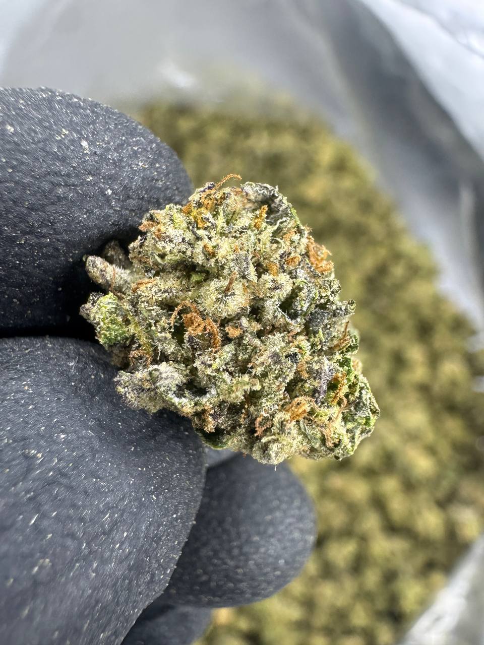 Hash Burger - THCA BULK Flower - Greenhouse Smalls