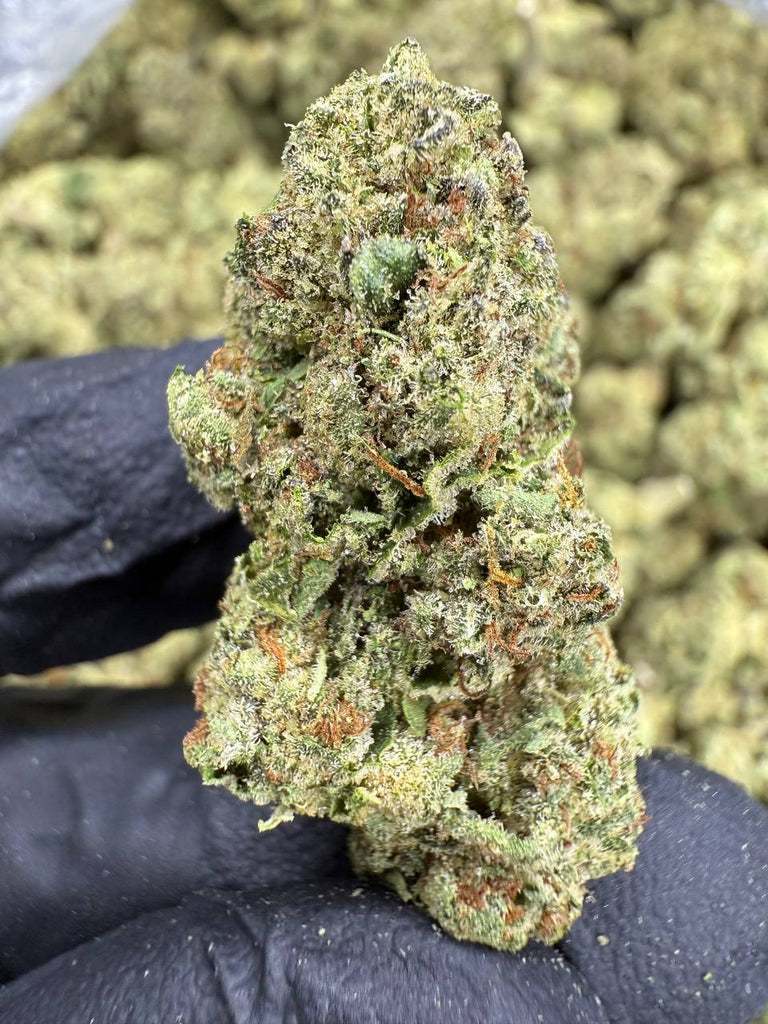 Headband - THCA FLOWER - CLASSIC RESERVE