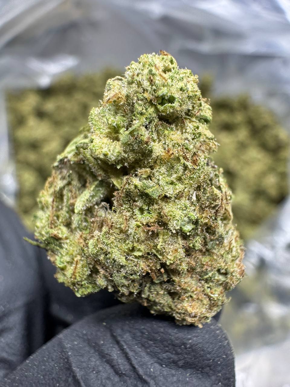 Hella Jelly - THCA BULK Flower - Greenhouse Smalls