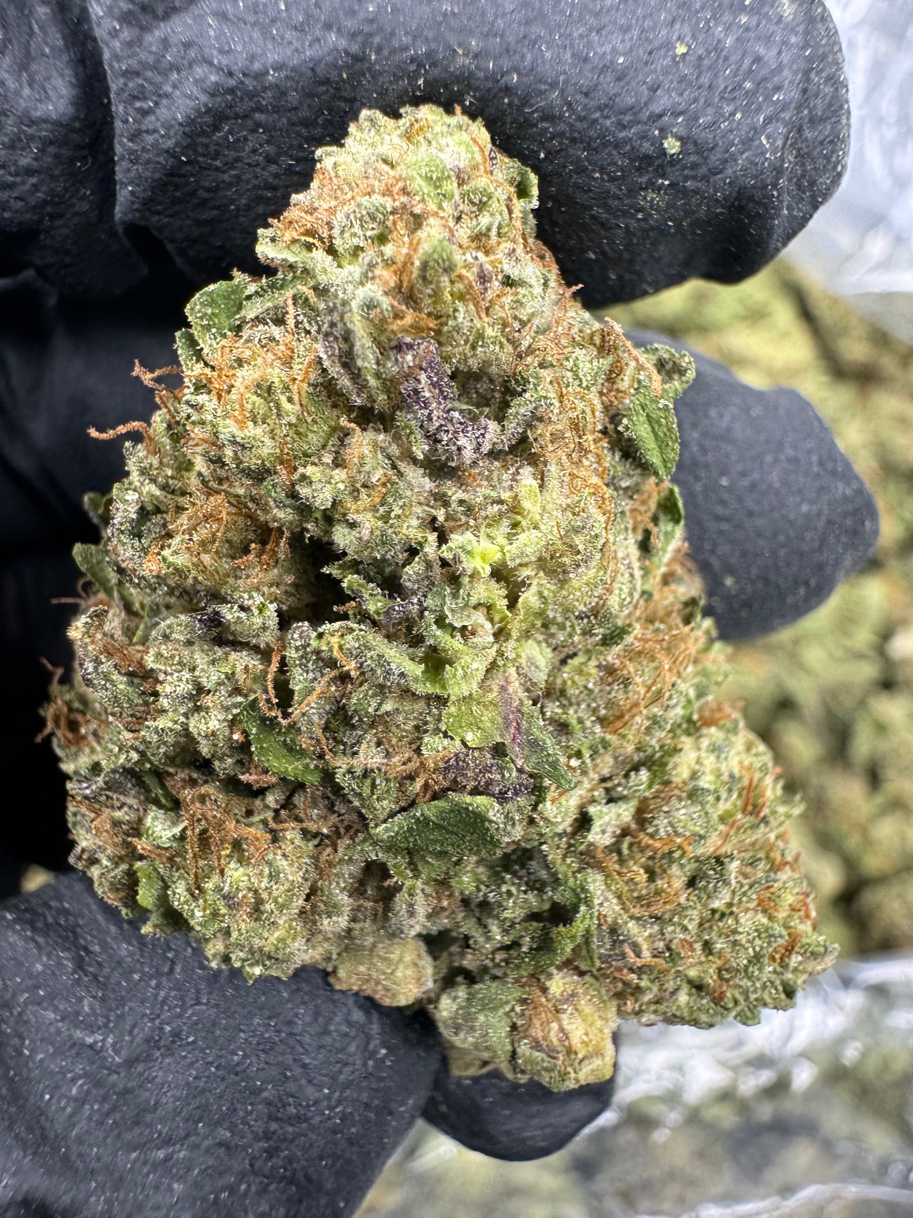 Hood Candy - THCA BULK Flower - Sungrown