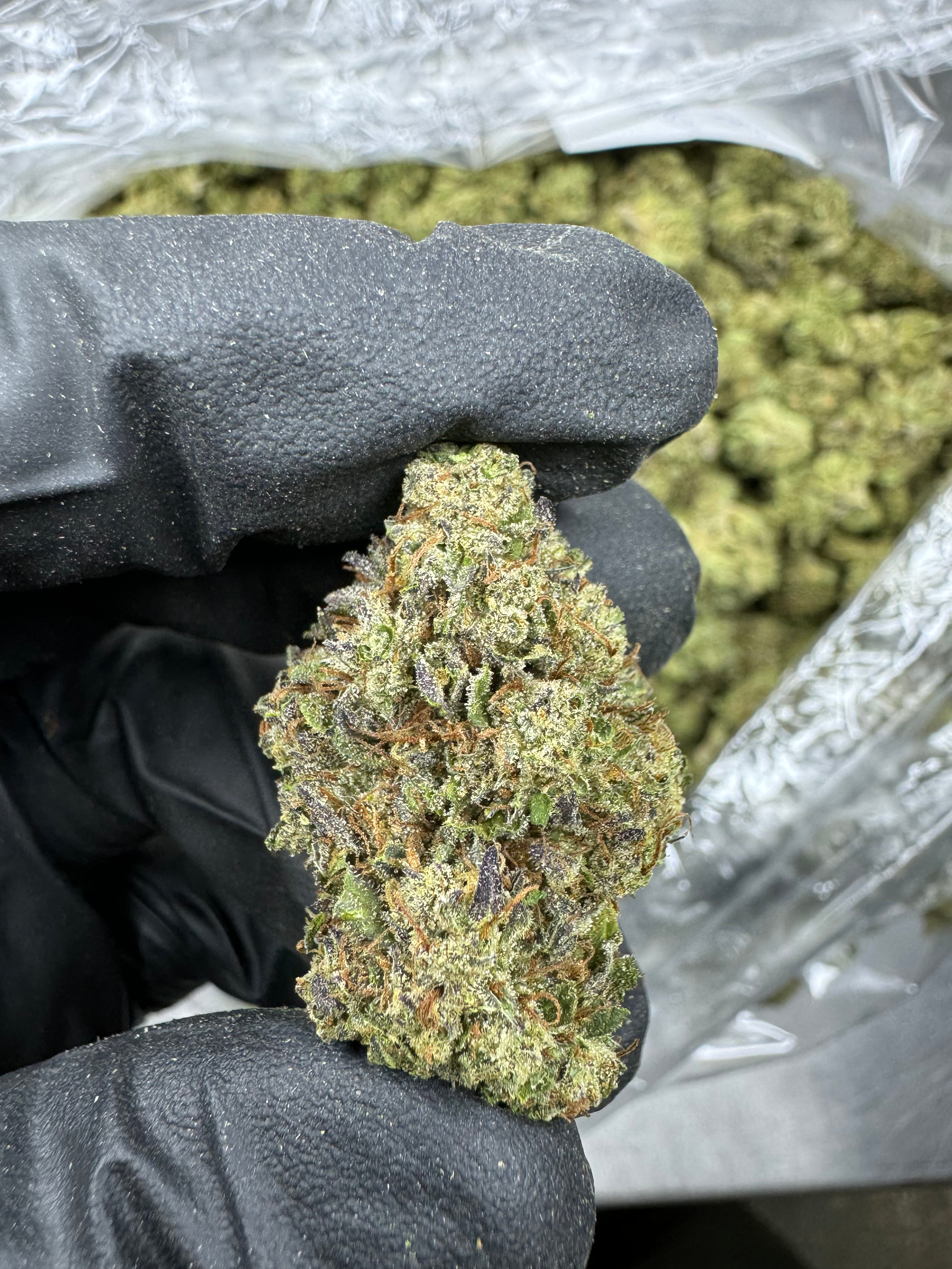 Sour Pop - THCA BULK Flower - Greenhouse