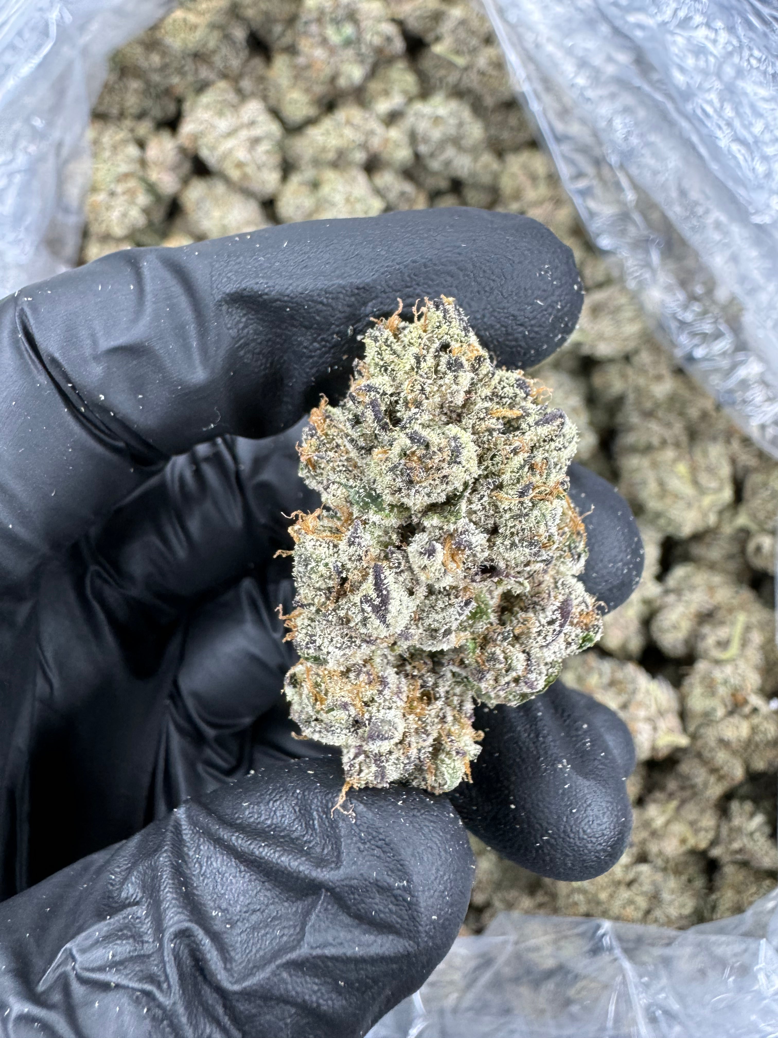Insane Pound Cake - THCA BULK Flower - Indoor