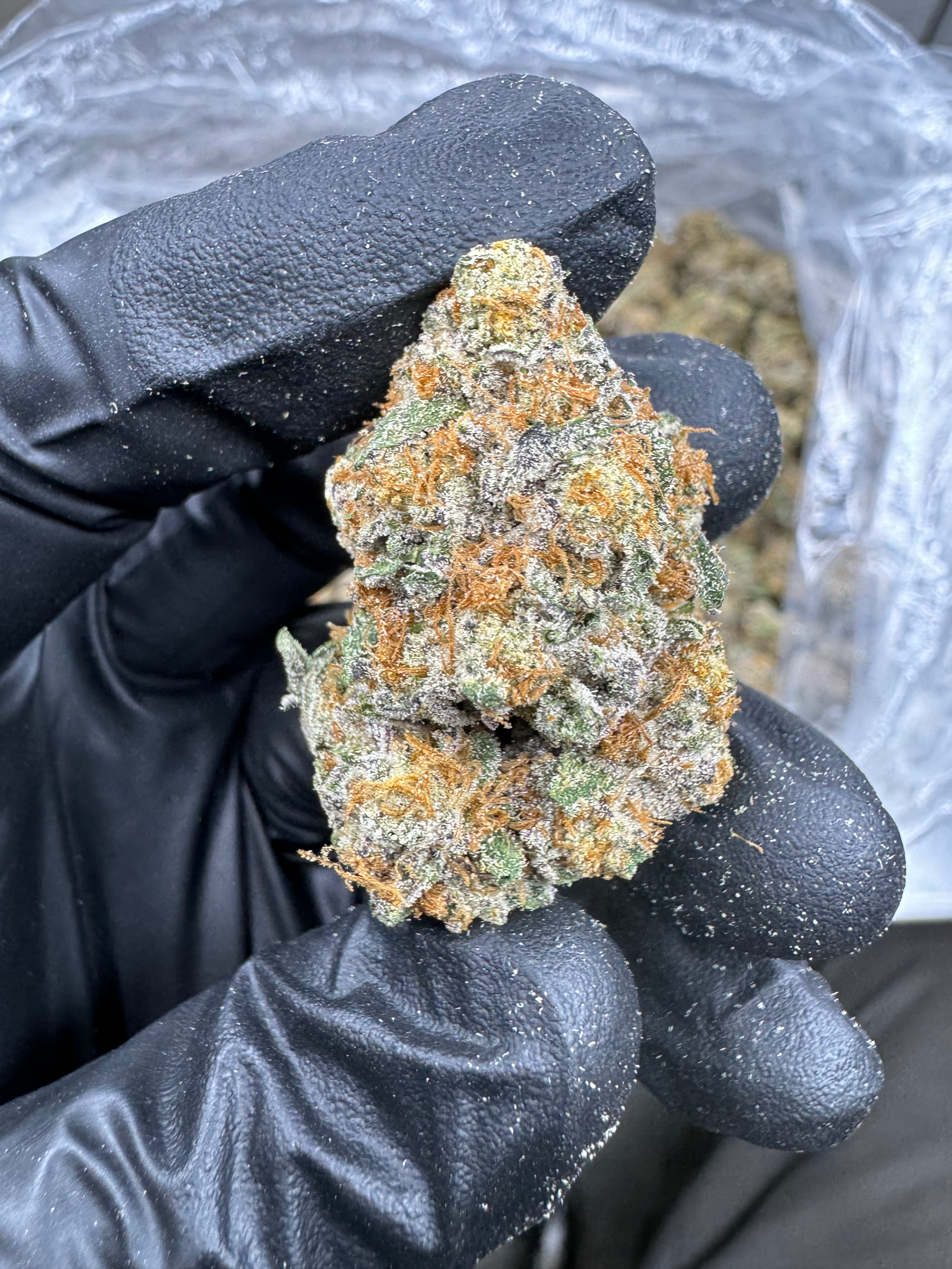 Triple Cake - THCA BULK Flower - Indoor