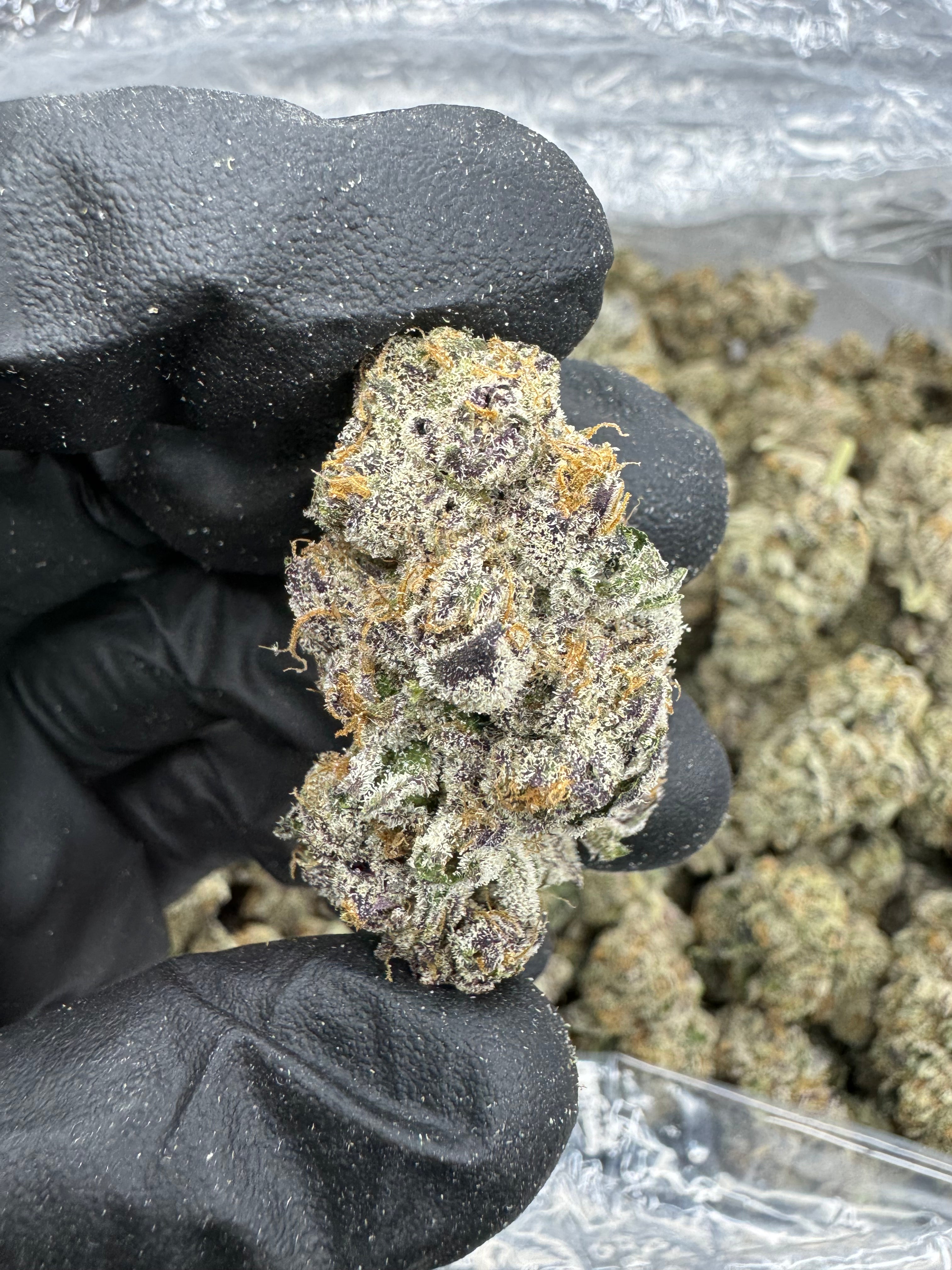 White Runtz - THCA BULK Flower - Indoor