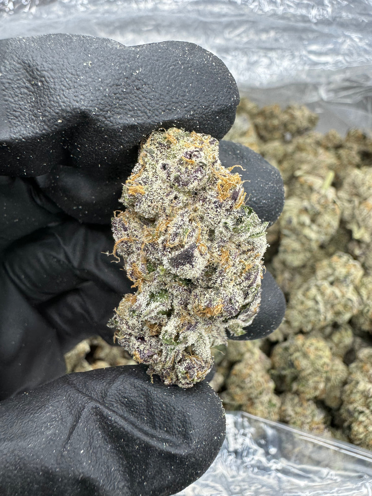 White Runtz - THCA BULK Flower - Indoor