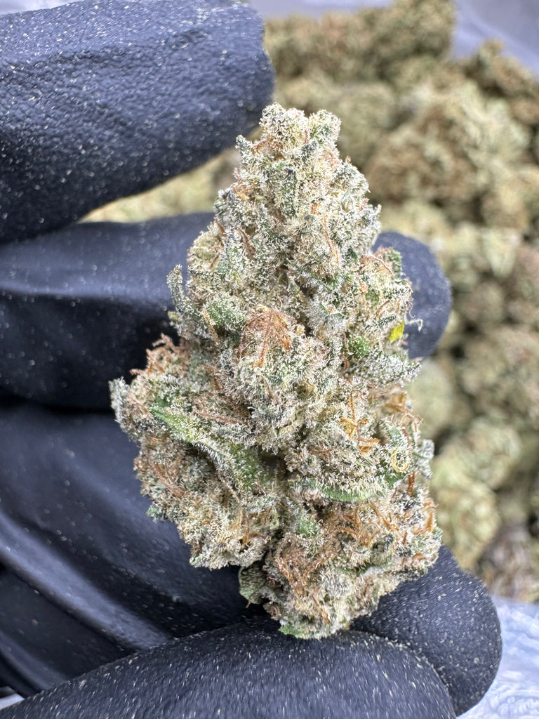 Pop Tarts- THCA BULK FLOWER - TOP SHELF