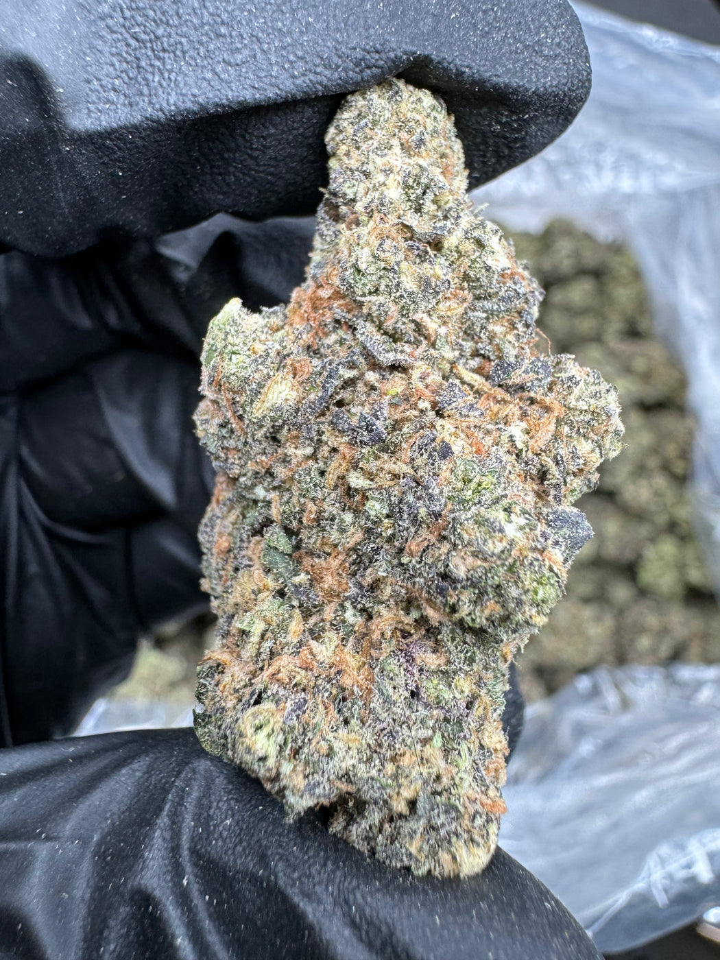 Pinnacle - THCA BULK FLOWER- AA INDOOR