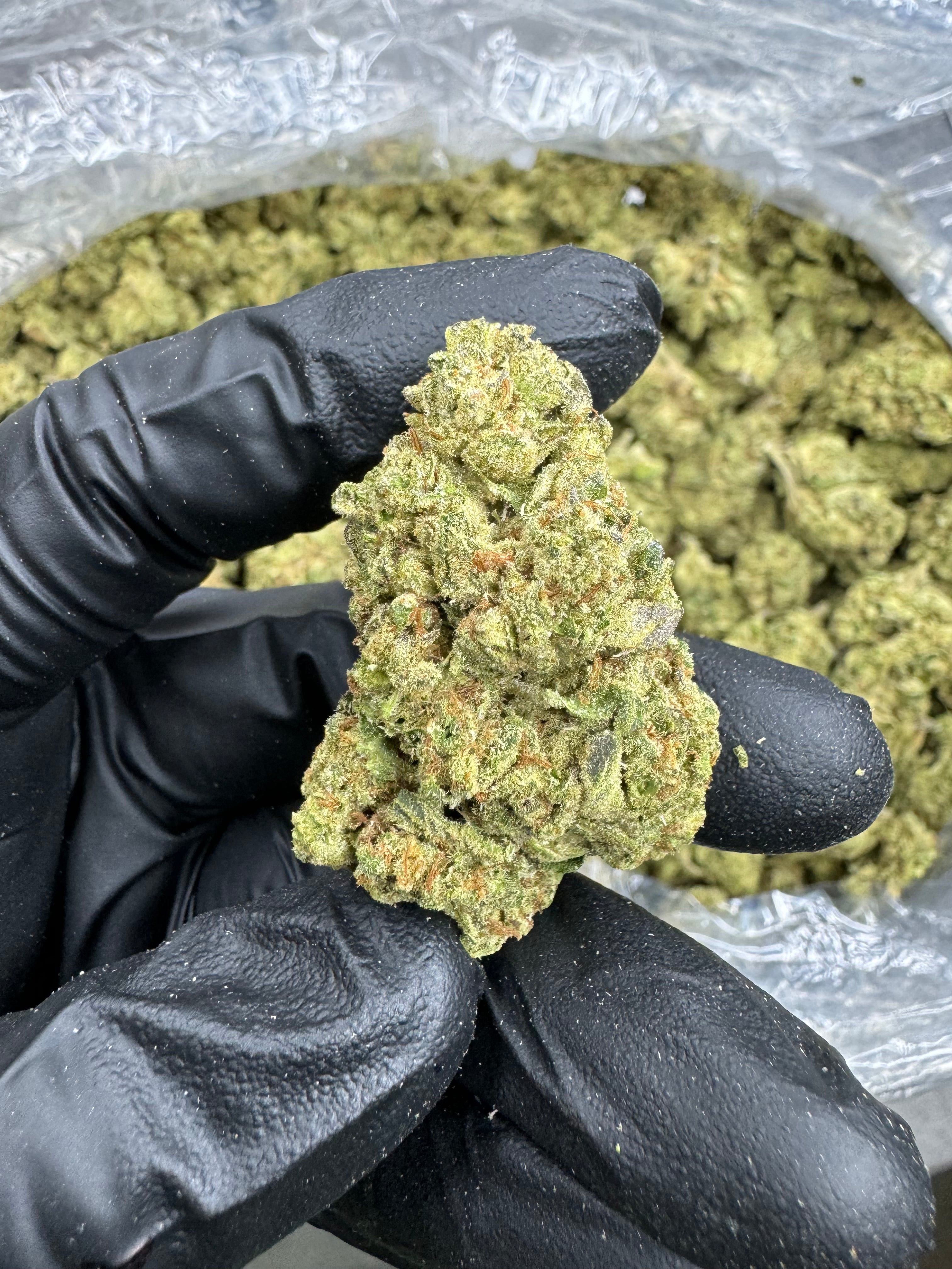 Jet Fuel - THCA BULK Flower - Greenhouse