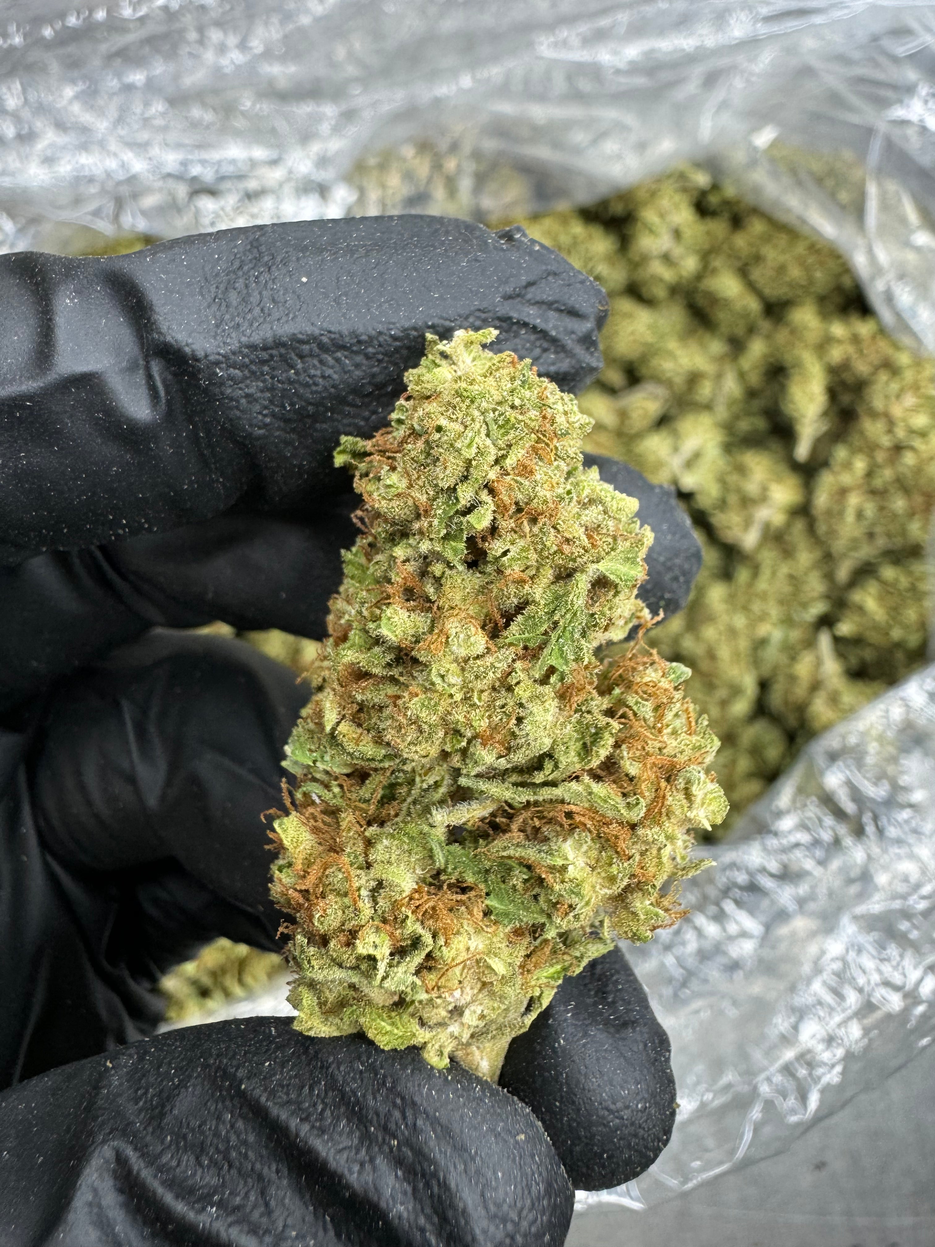 Jungle Juice - THCA BULK Flower - Sungrown
