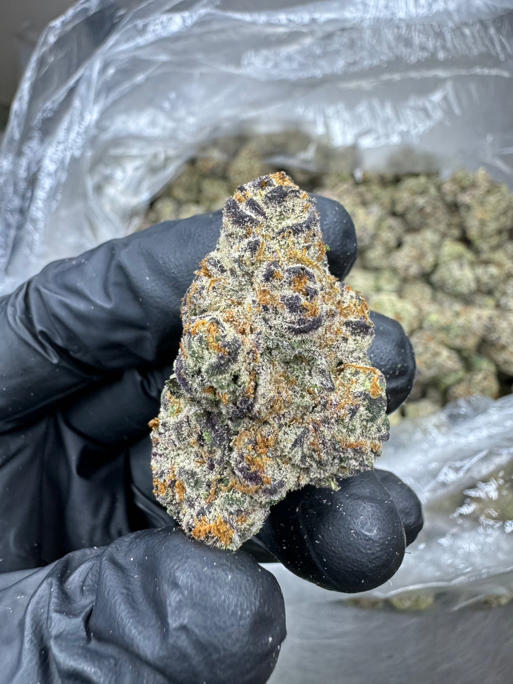 Cadillac Rainbow - THCA BULK FLOWER - EXOTIC INDOOR