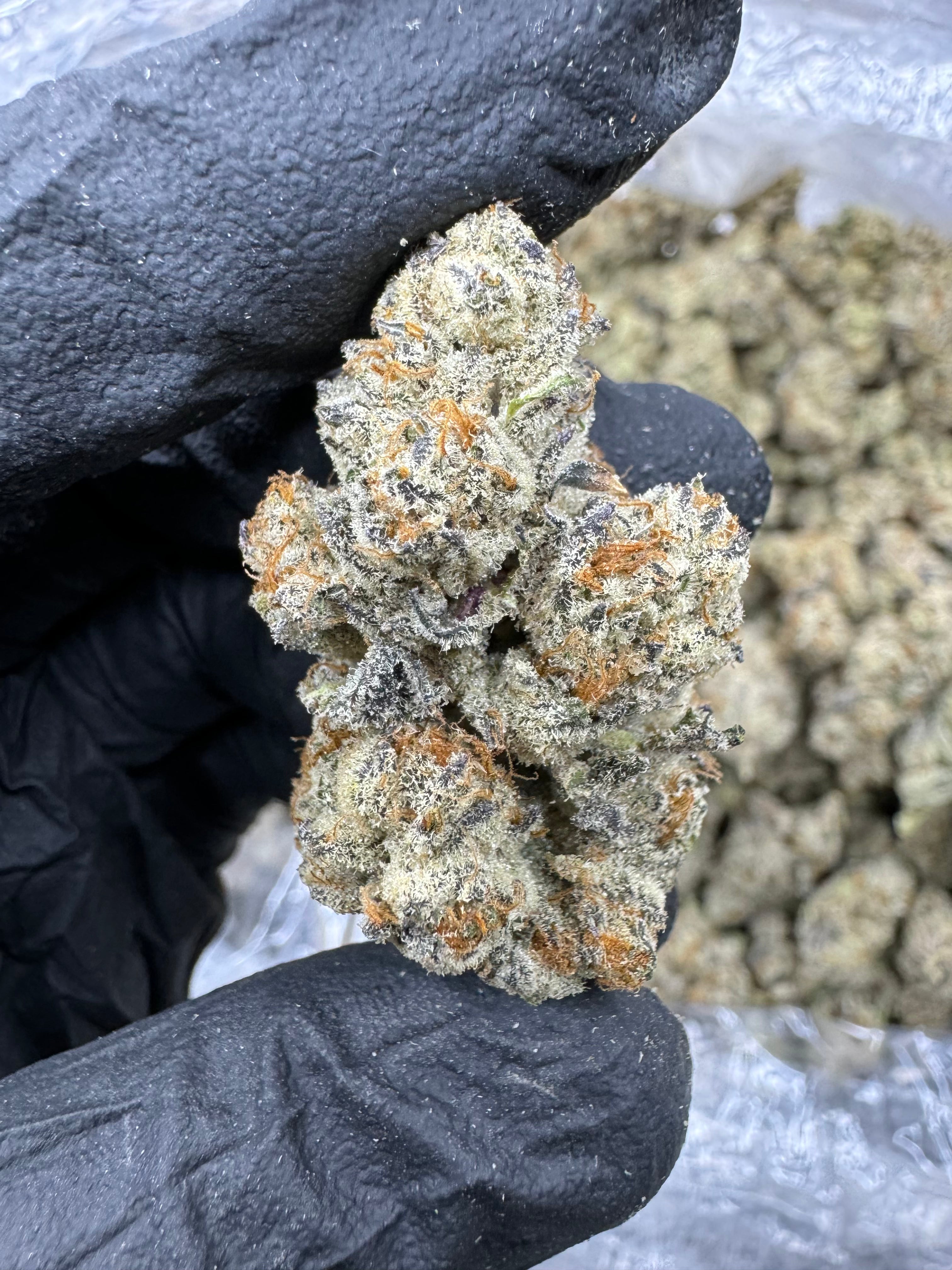 Kush Mintz - THCA Flower - Indoor Top Cut Exotic