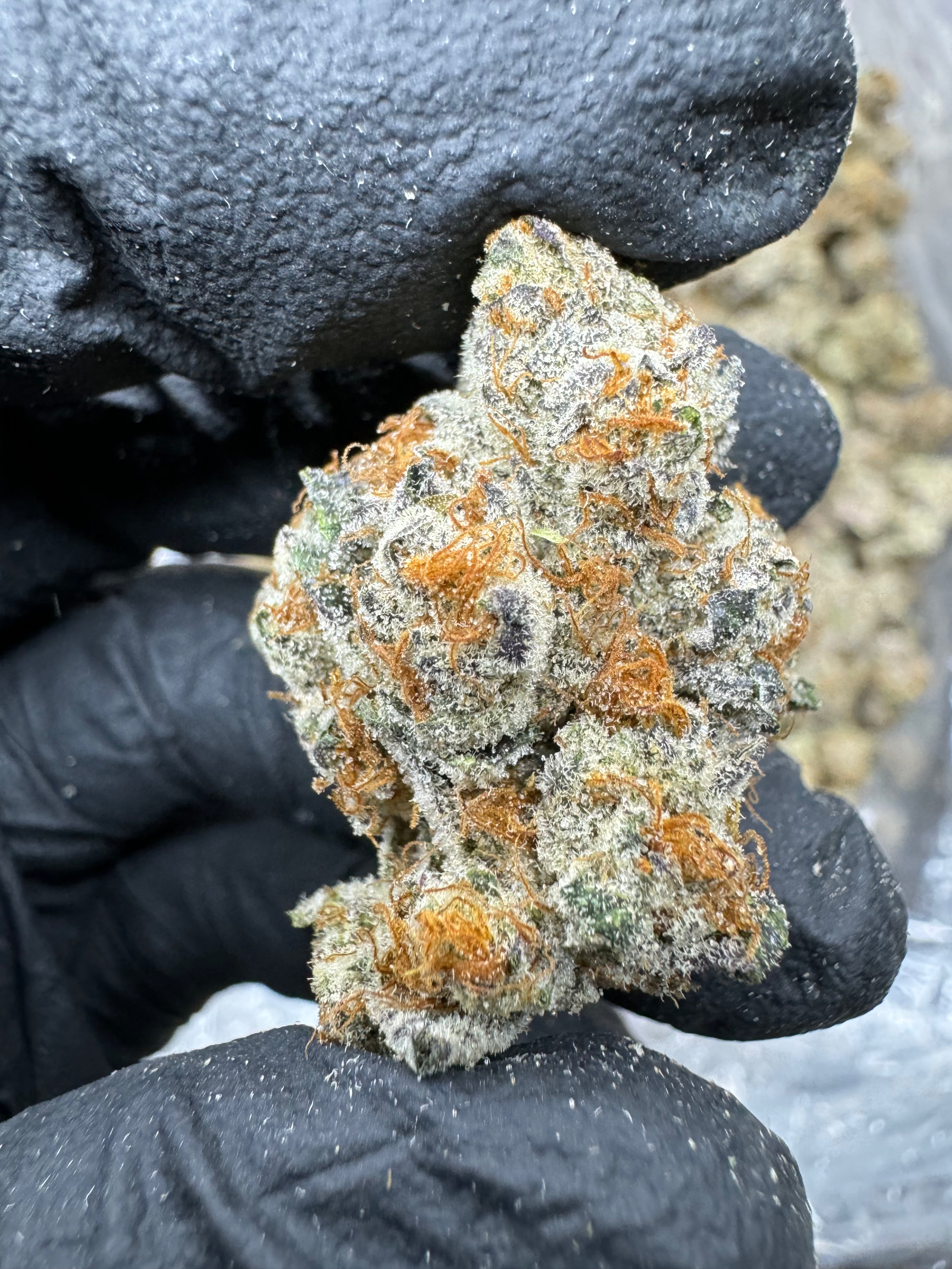 Donny Burger - THCA BULK Flower - Indoor Exotic