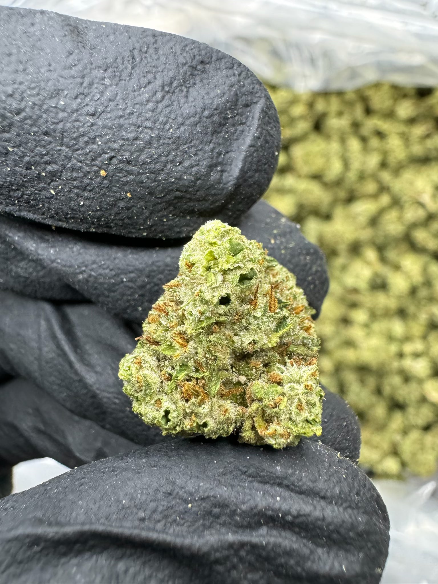 Hindu Kush - THCA BULK Flower - Greenhouse Smalls