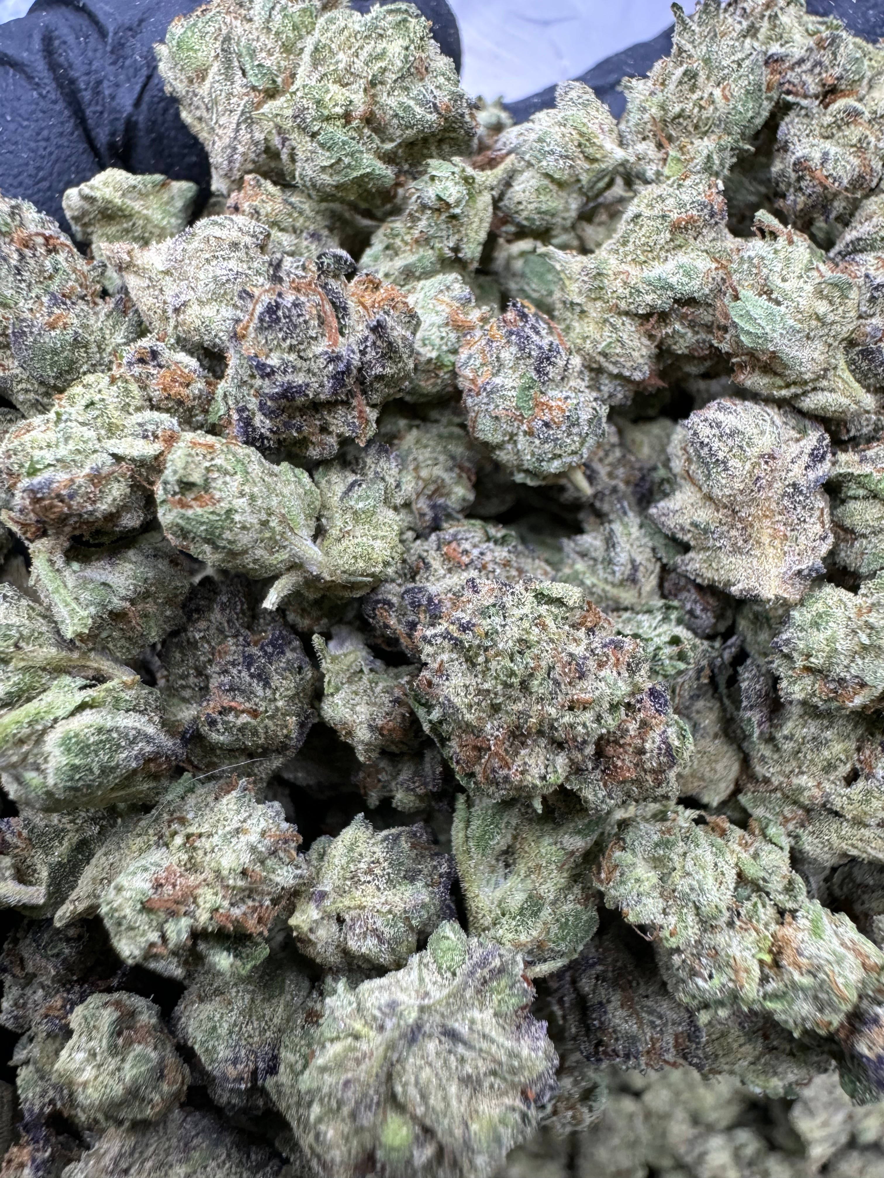 Ice Cream Cake - THCA BULK Flower - Indoor Smalls