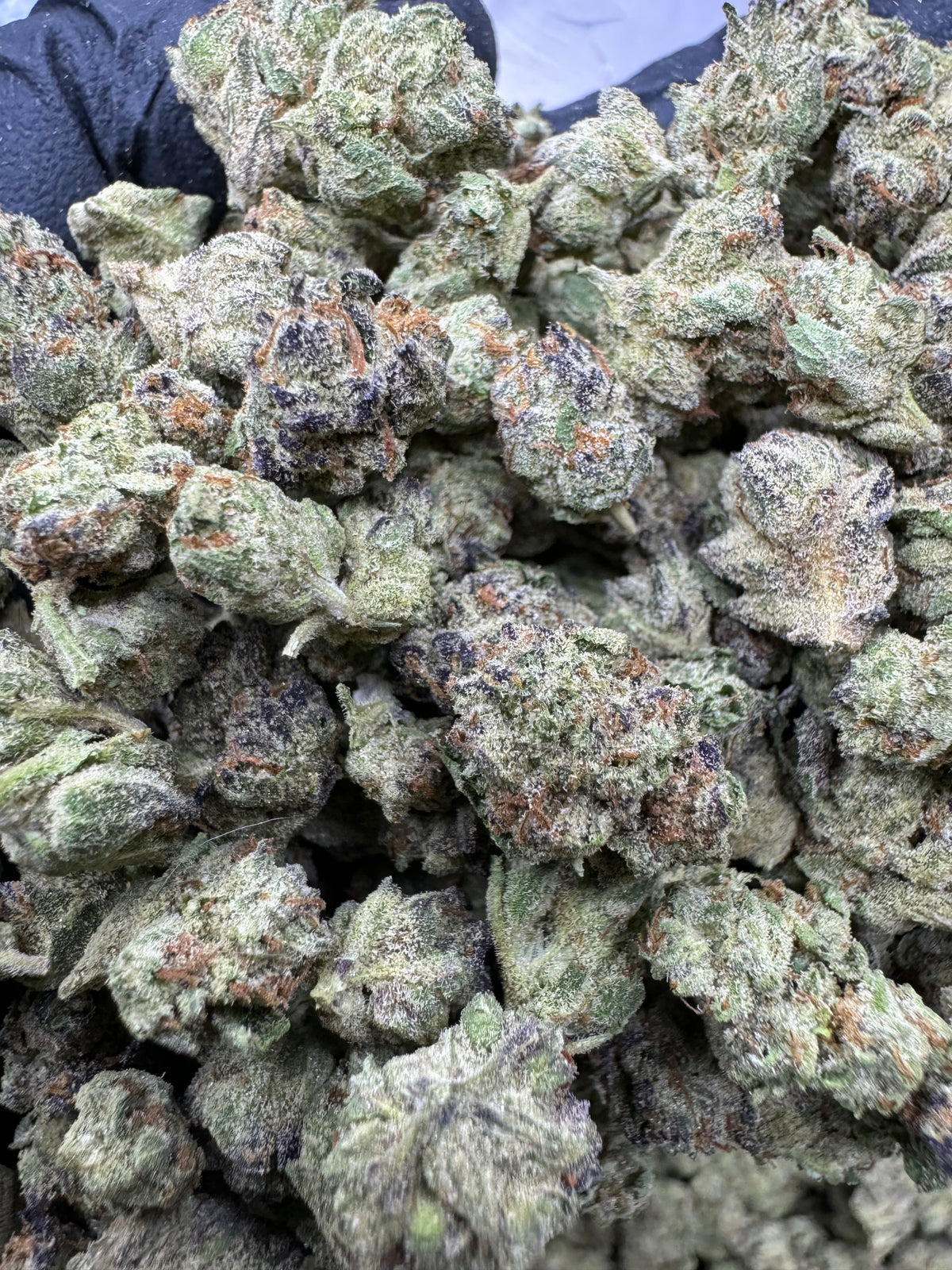 Ice Cream Cake - THCA BULK Flower - Indoor Smalls