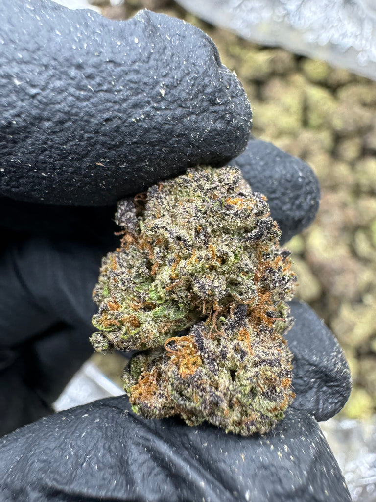 Sunset Sherbet - THCA BULK FLOWER - AAA INDOOR - SMALLS
