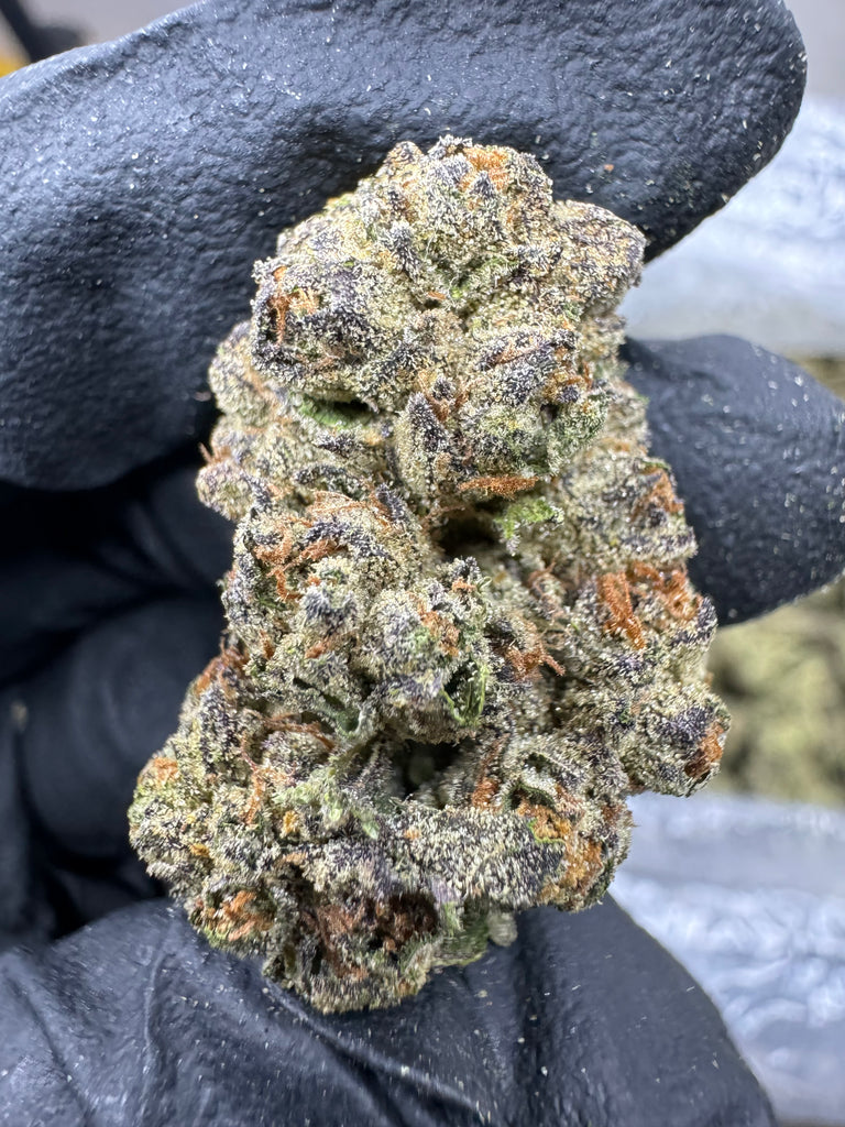 Dolato - THCA BULK FLOWER - AA INDOOR