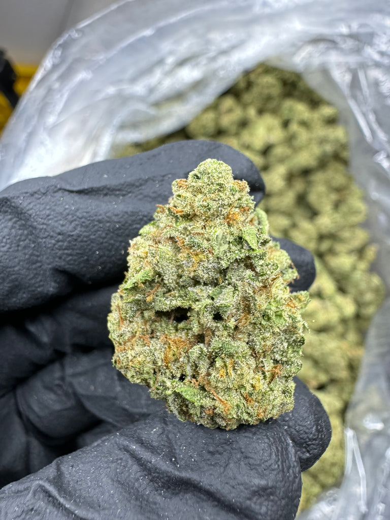 Purple Push Pop - THCA BULK FLOWER - TOP SHELF