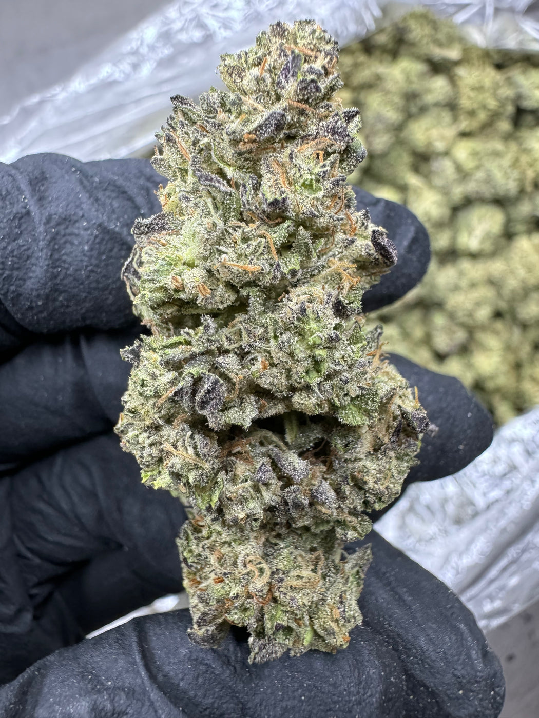 Fruity Pebbles - THCA BULK FLOWER - Top Shelf
