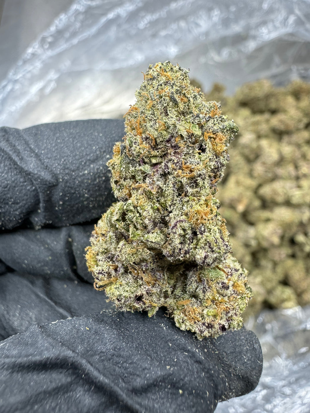 ZOAP - THCA BULK FLOWER - AAA INDOOR