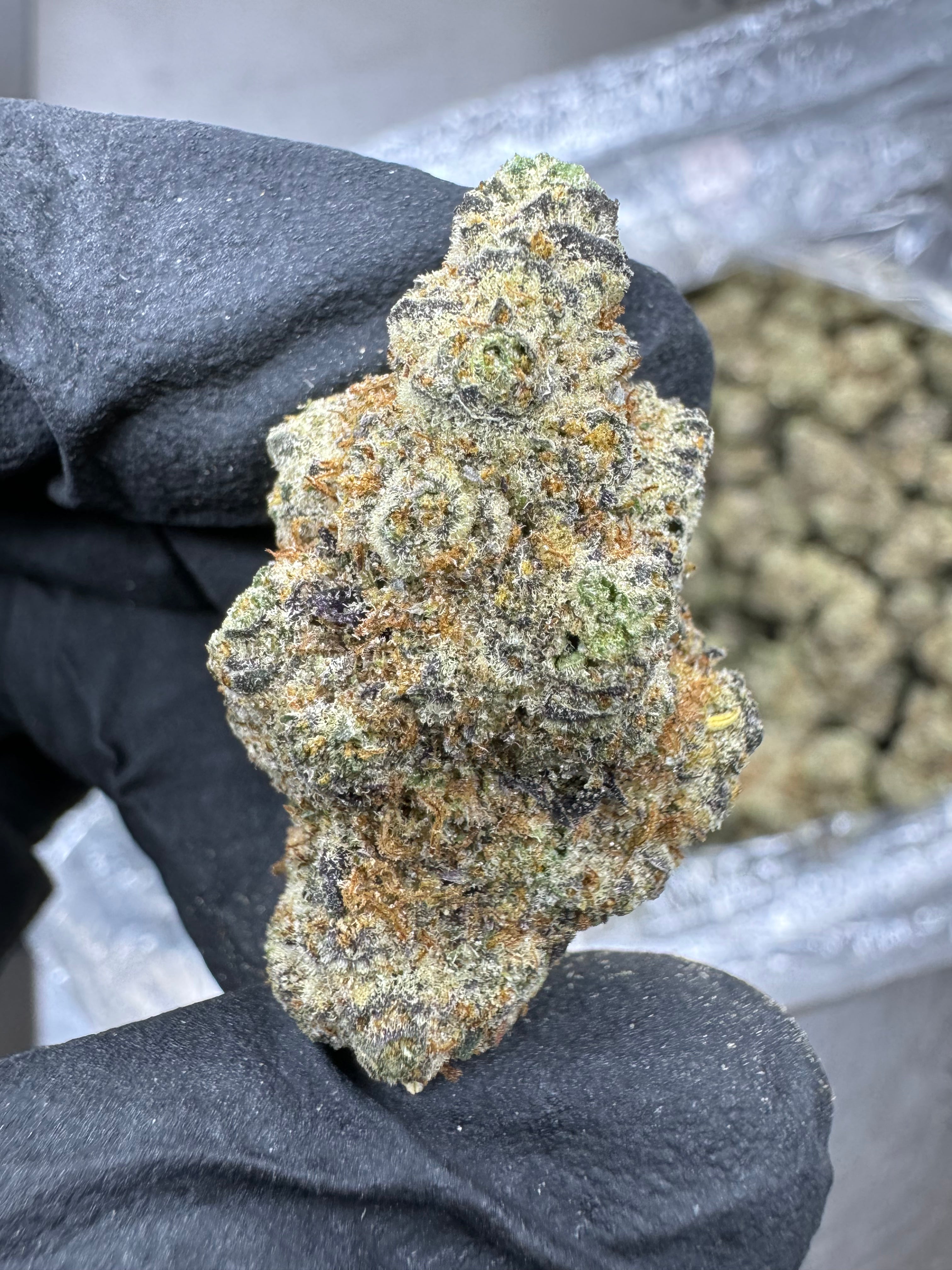 Garlic Breath - THCA BULK Flower - Indoor