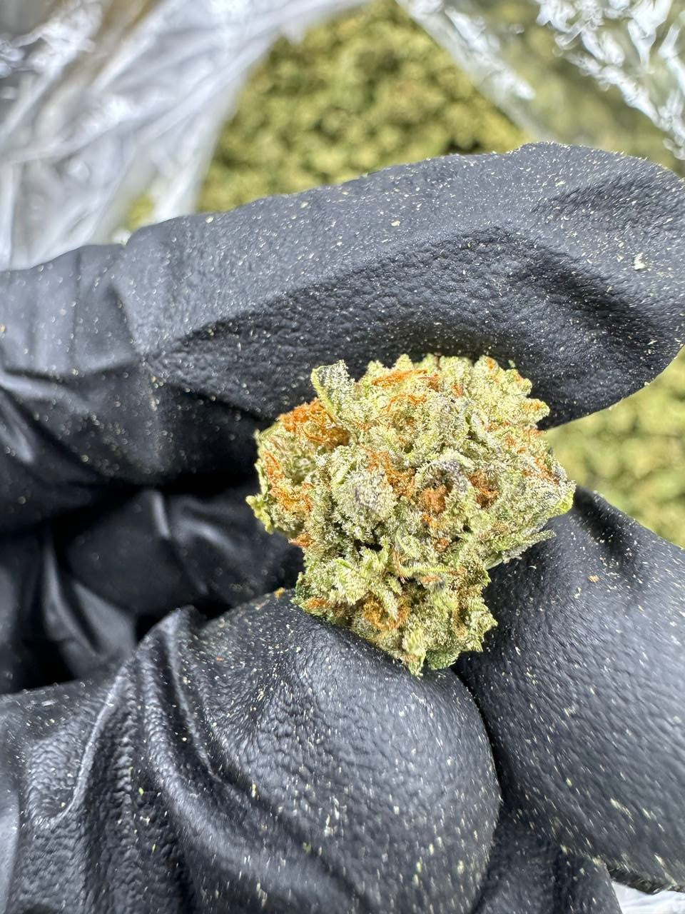 Ice Cream Cake - THCA BULK Flower - Greenhouse Smalls