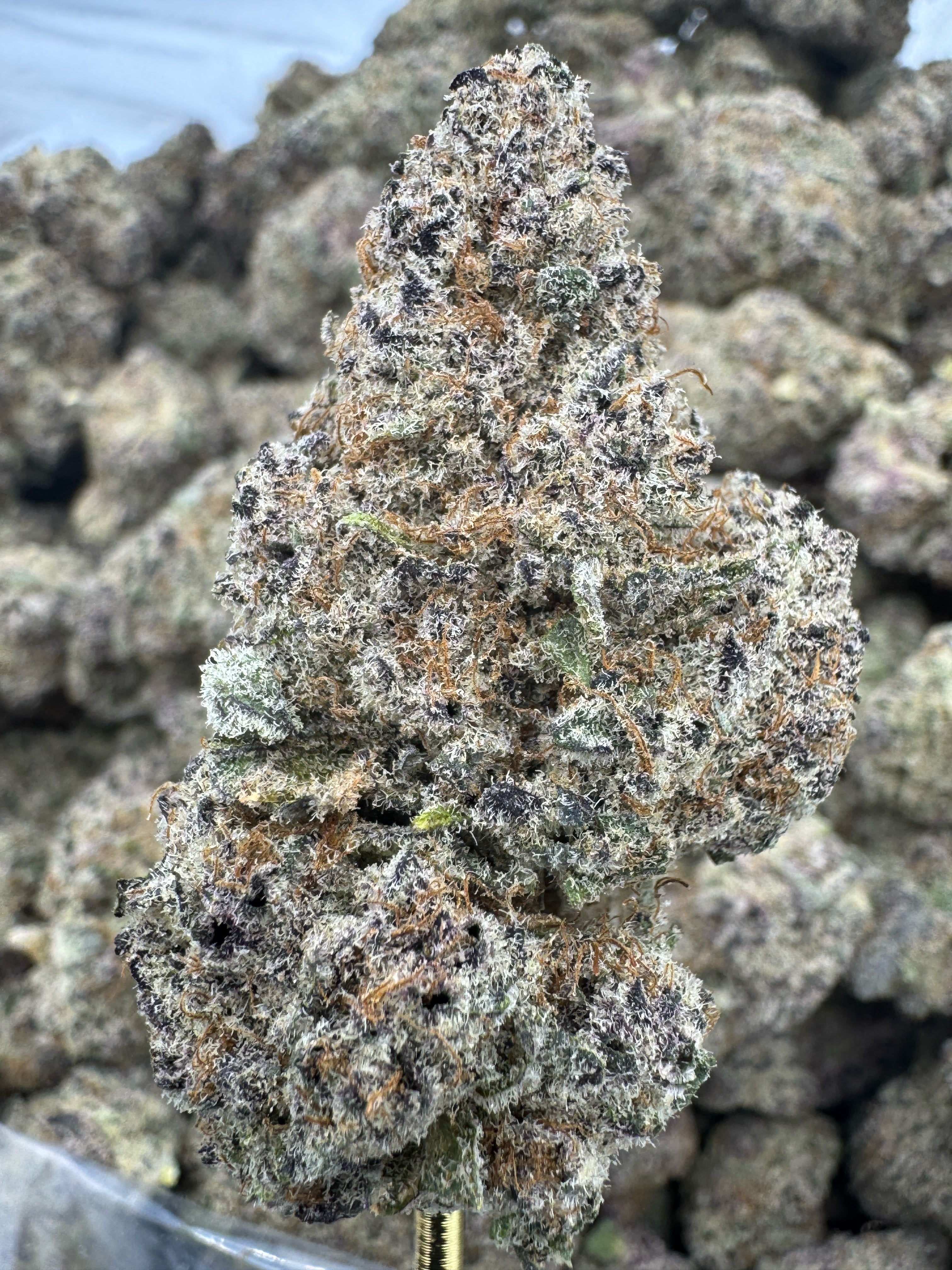 Jelly Donut - THCA BULK Flower - Indoor Exotic