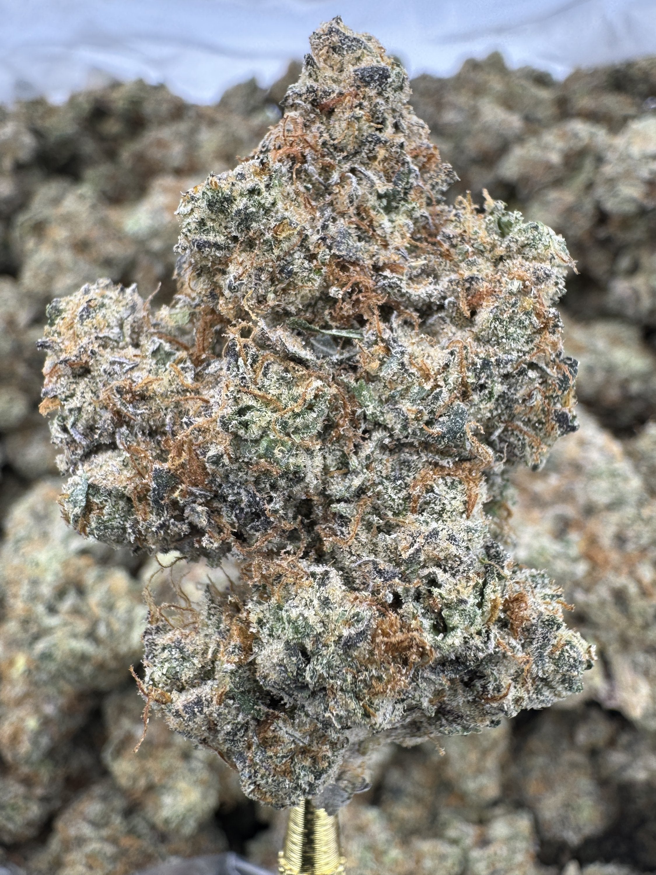 Sweet Tartz - THCA BULK Flower - Indoor Exotic