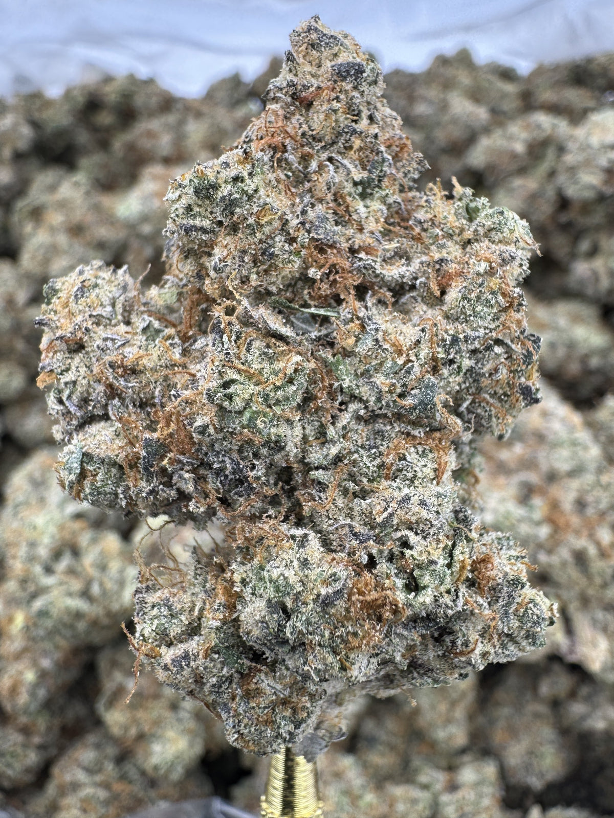 Sweet Tartz - THCA BULK Flower - Indoor Exotic