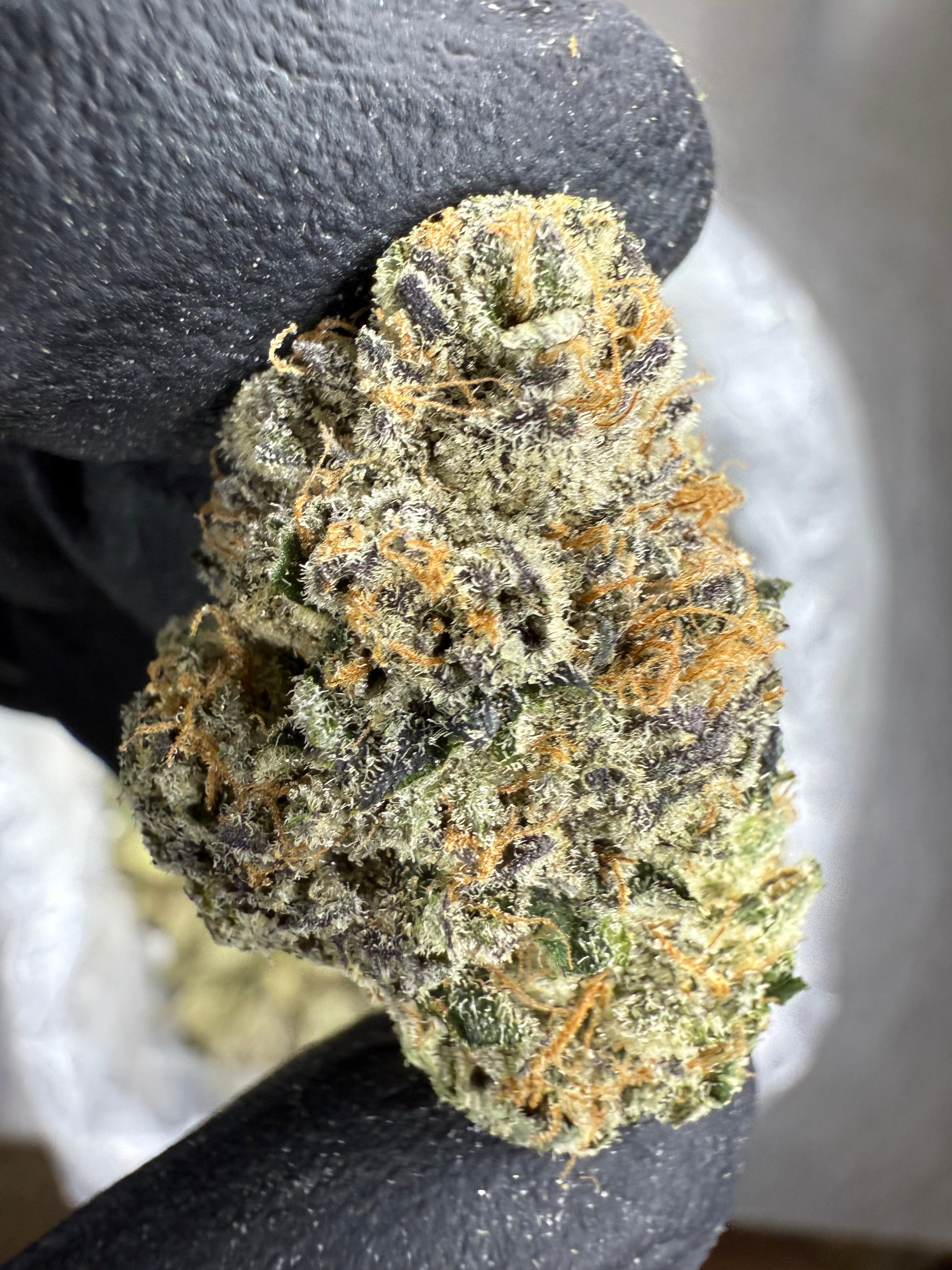 Bubble Gum - THCA BULK Flower - Indoor
