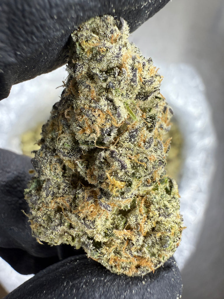 Blueberry Muffin - THCA BULK FLOWER - AAA INDOOR