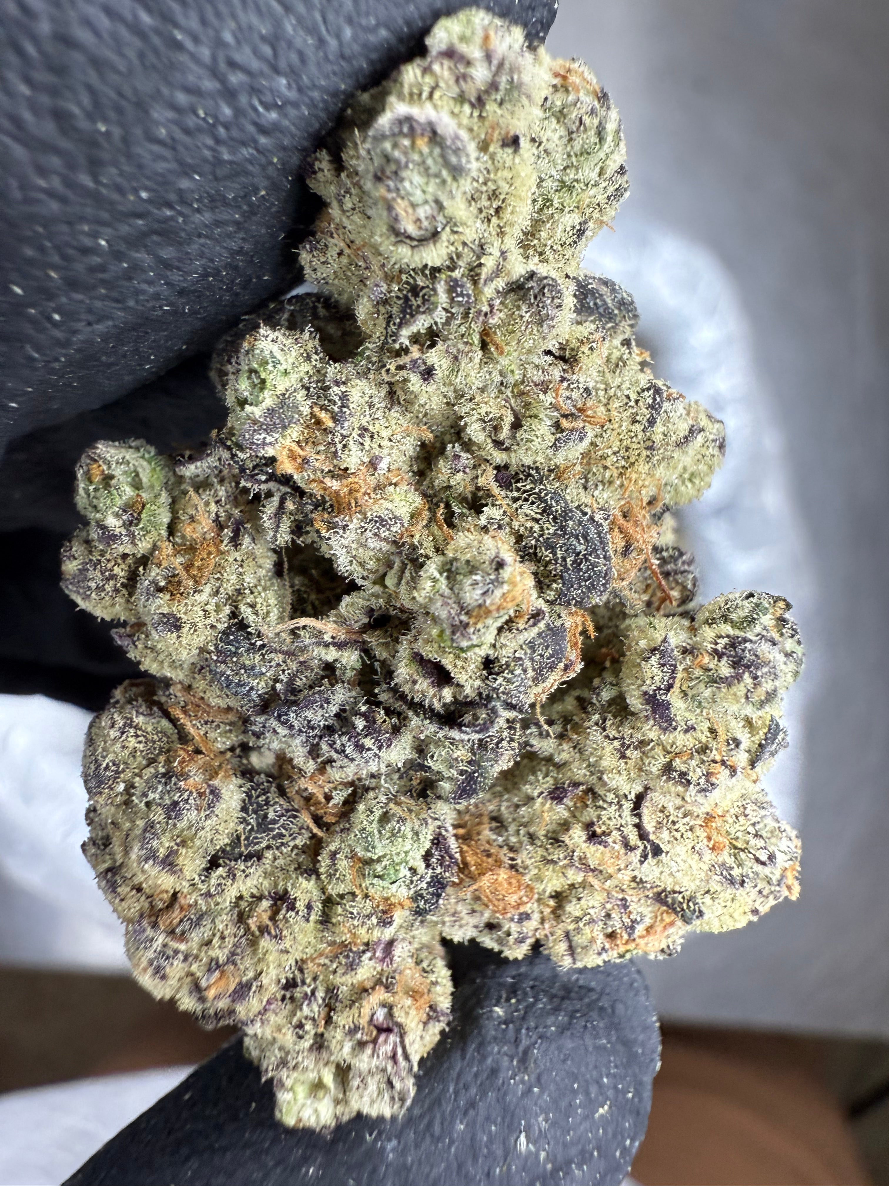 Rainbow Belts - THCA Flower - Indoor Top Cut Exotic