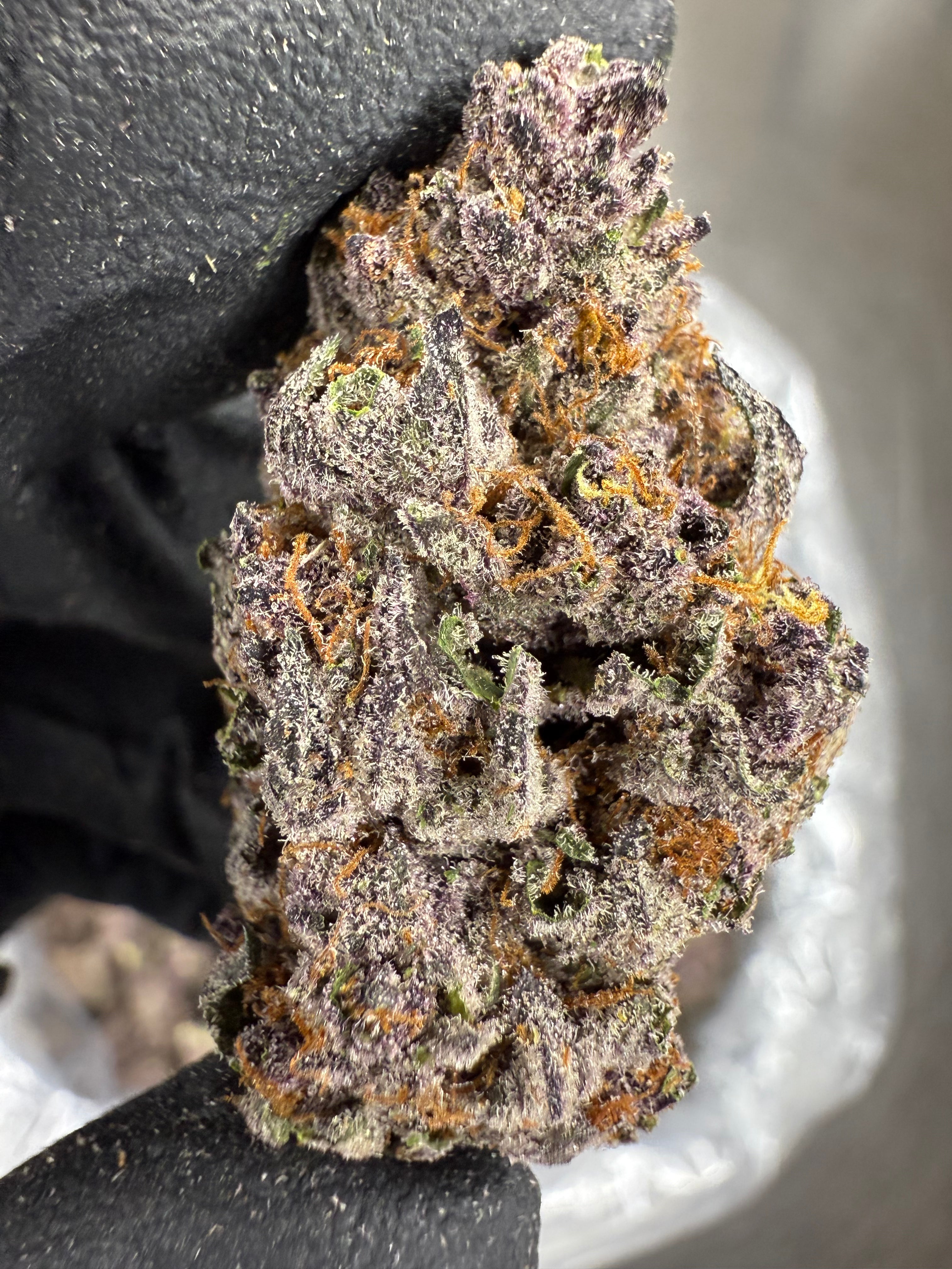 Tropicana Cherry - THCA BULK Flower - Indoor