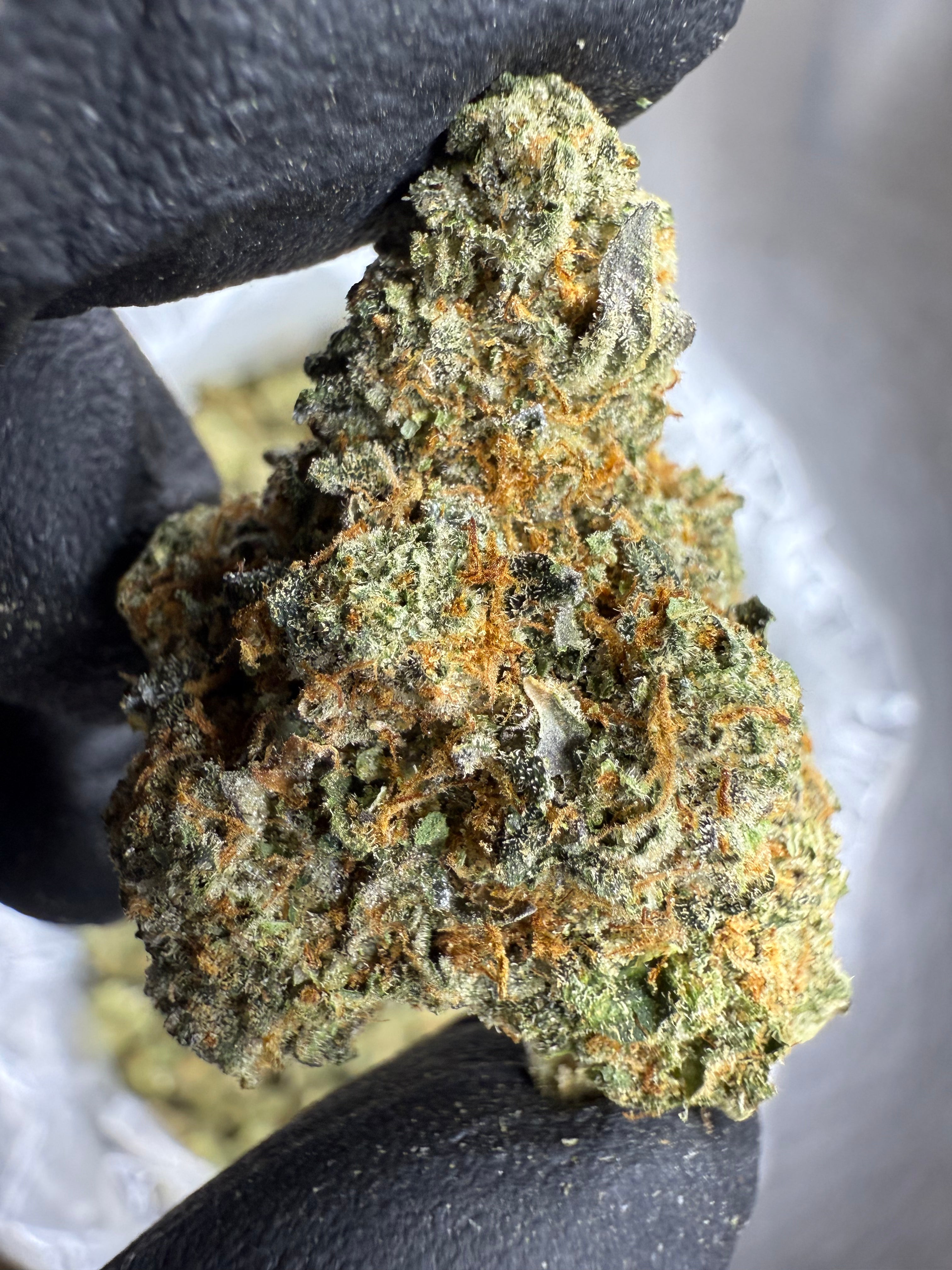 Acai Gelato - THCA BULK Flower