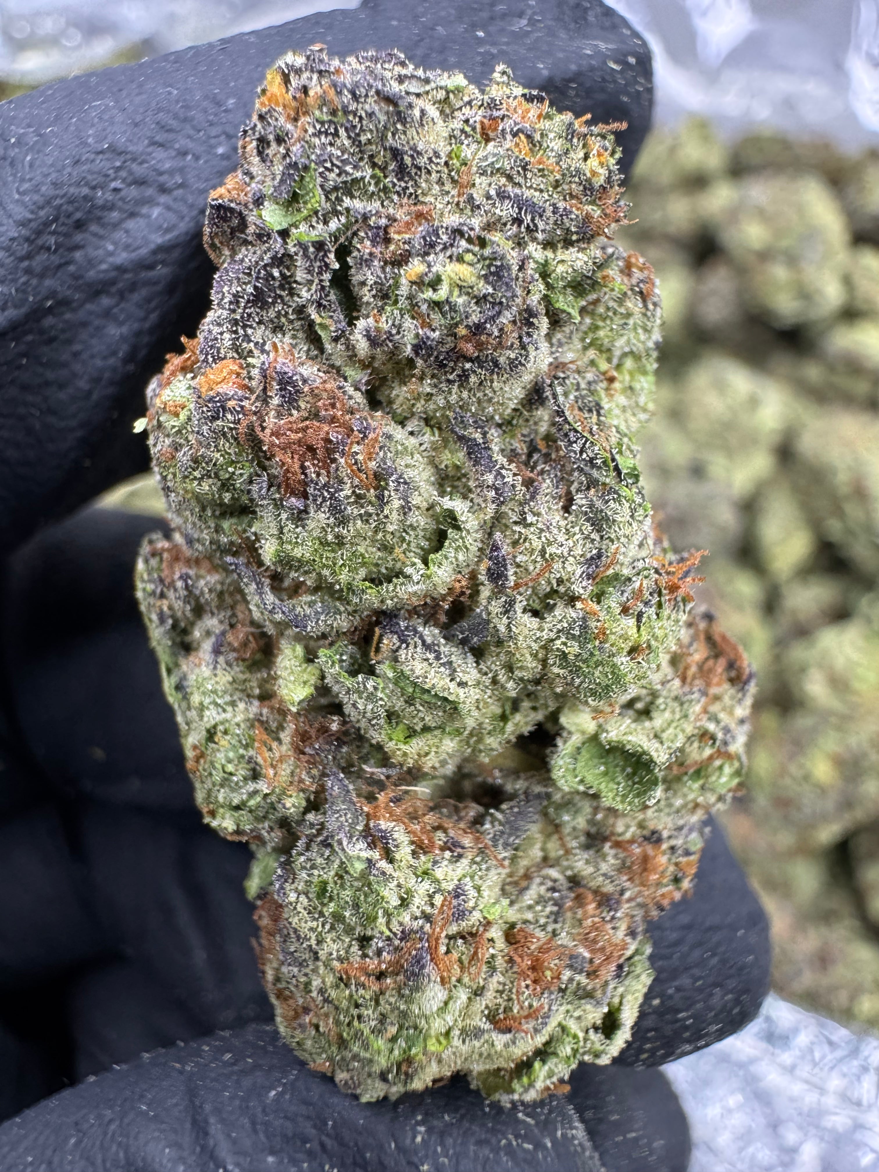 Ice Cream Cake - THCA BULK Flower - Greenhouse