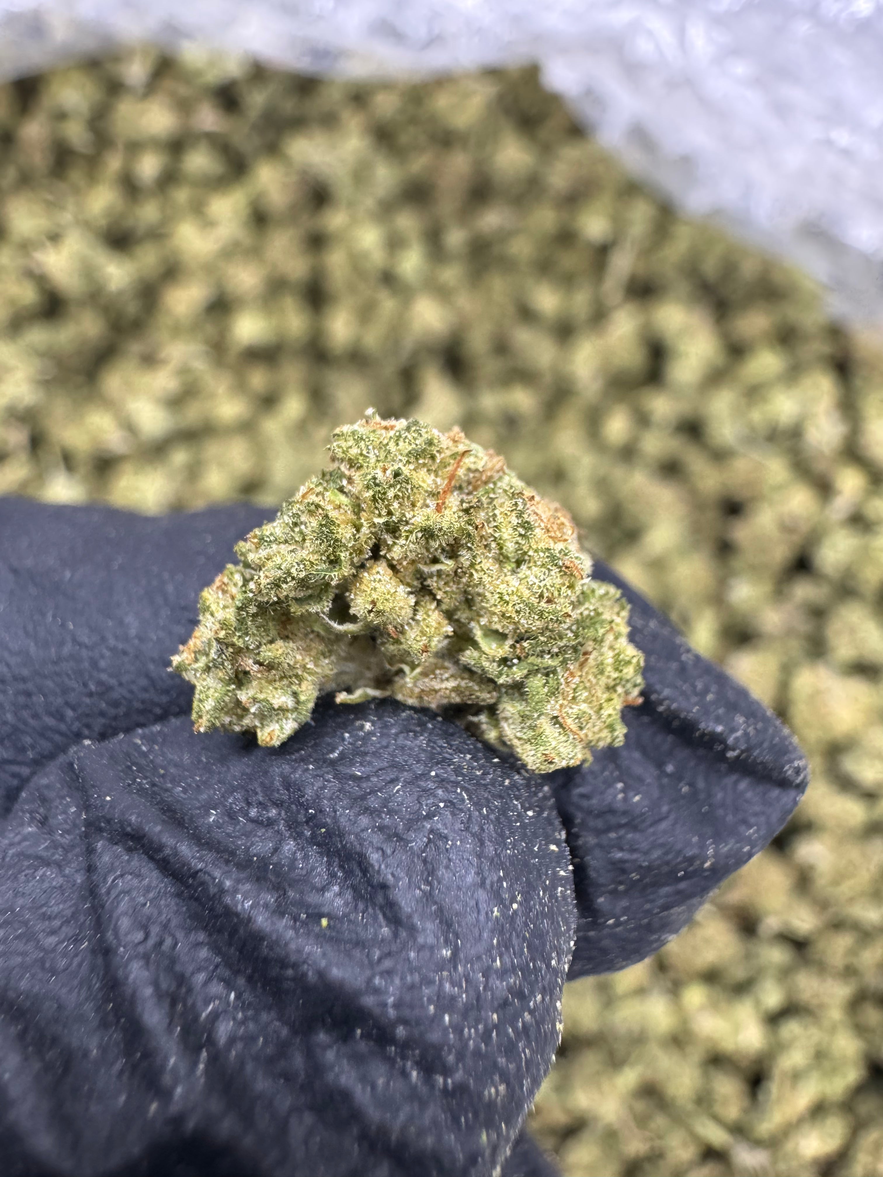 Ice Cream Cake - THCA BULK Flower - Sungrown Smalls