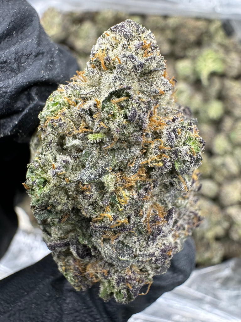 Ice Cream Cake - THCA BULK FLOWER - EXOTIC INDOOR
