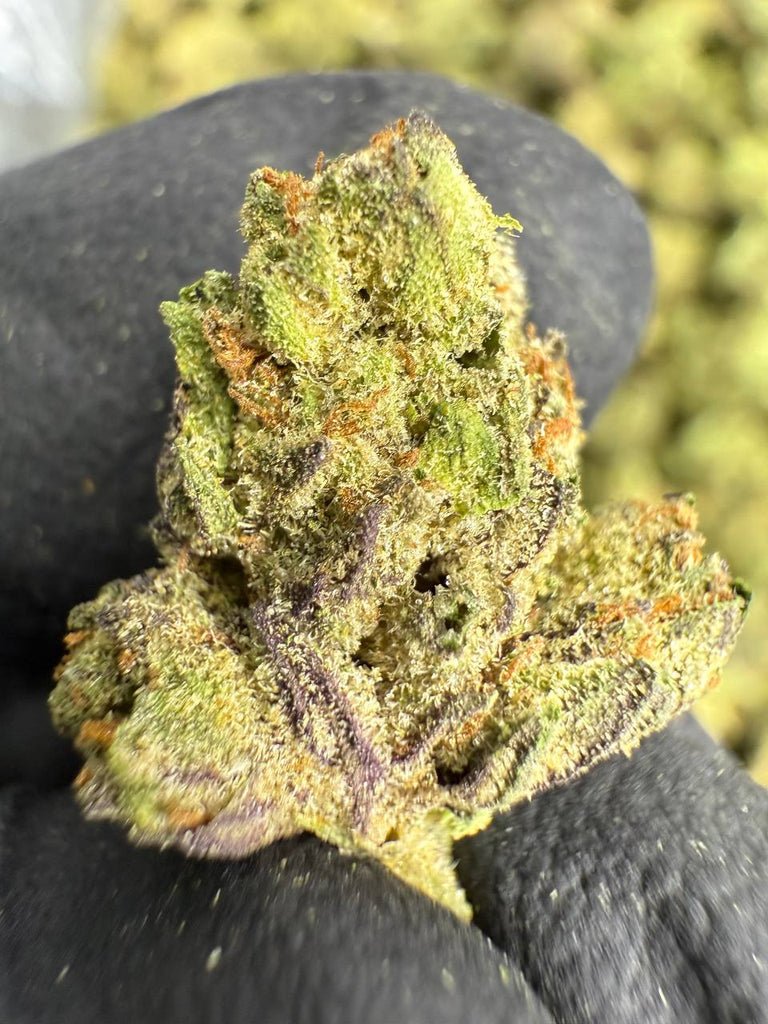 Ice Cream Cake - Gold Nuggets - THCa Flower TOP SHELF SMALLS