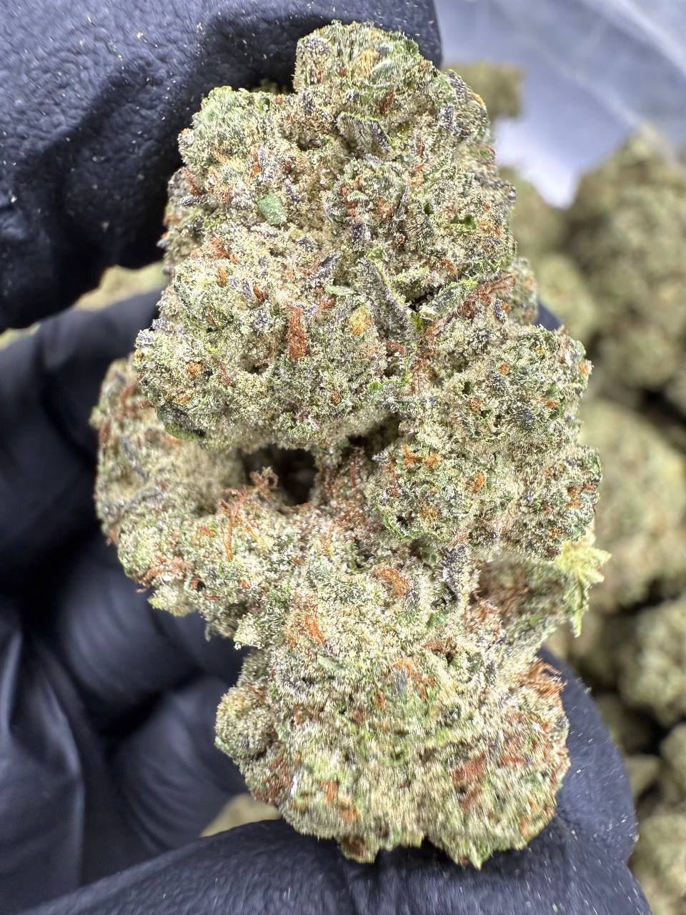 Ice Cream Cake - THCA Flower - Greenhouse Top Cut