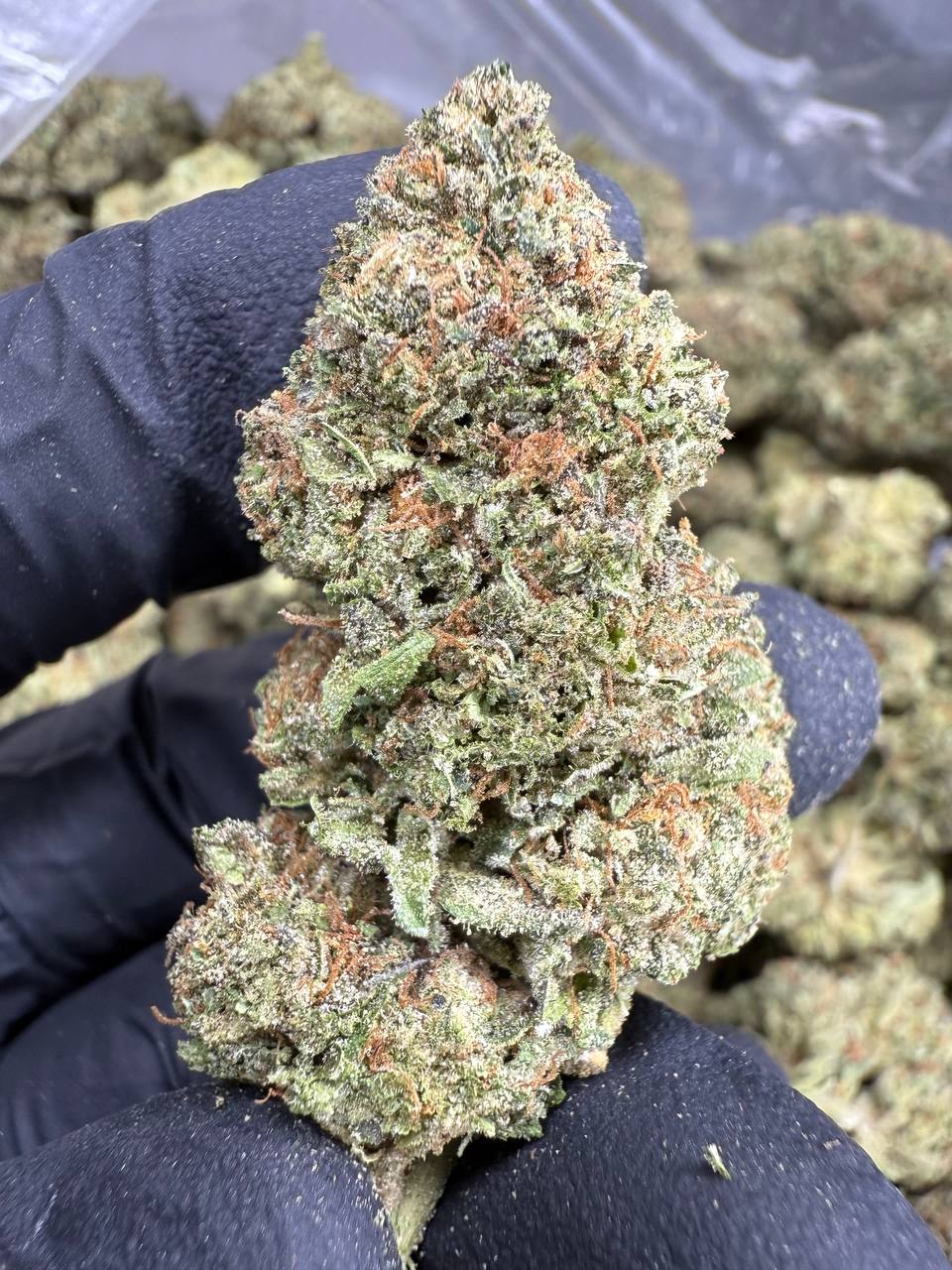 Ice Cream Cake - THCA Flower - Sungrown Top Cut