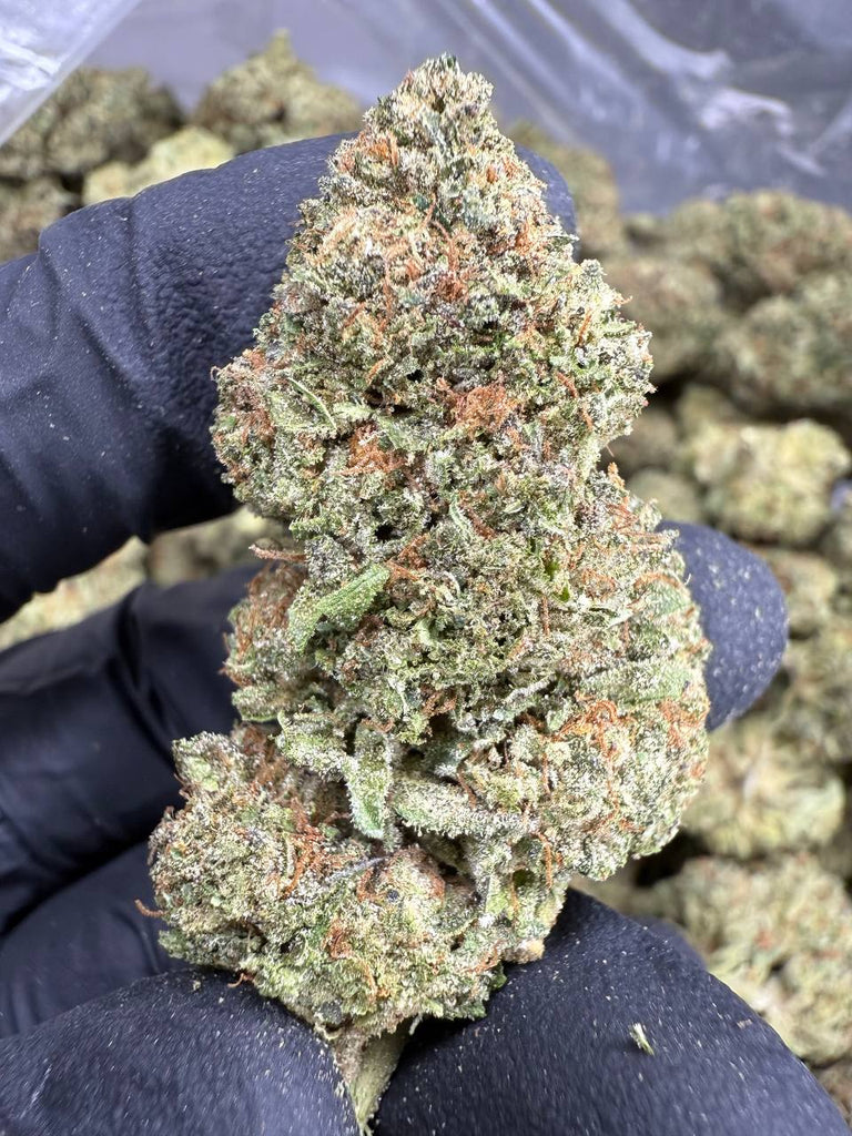 Ice Cream Cake - THCA FLOWER - CLASSIC RESERVE