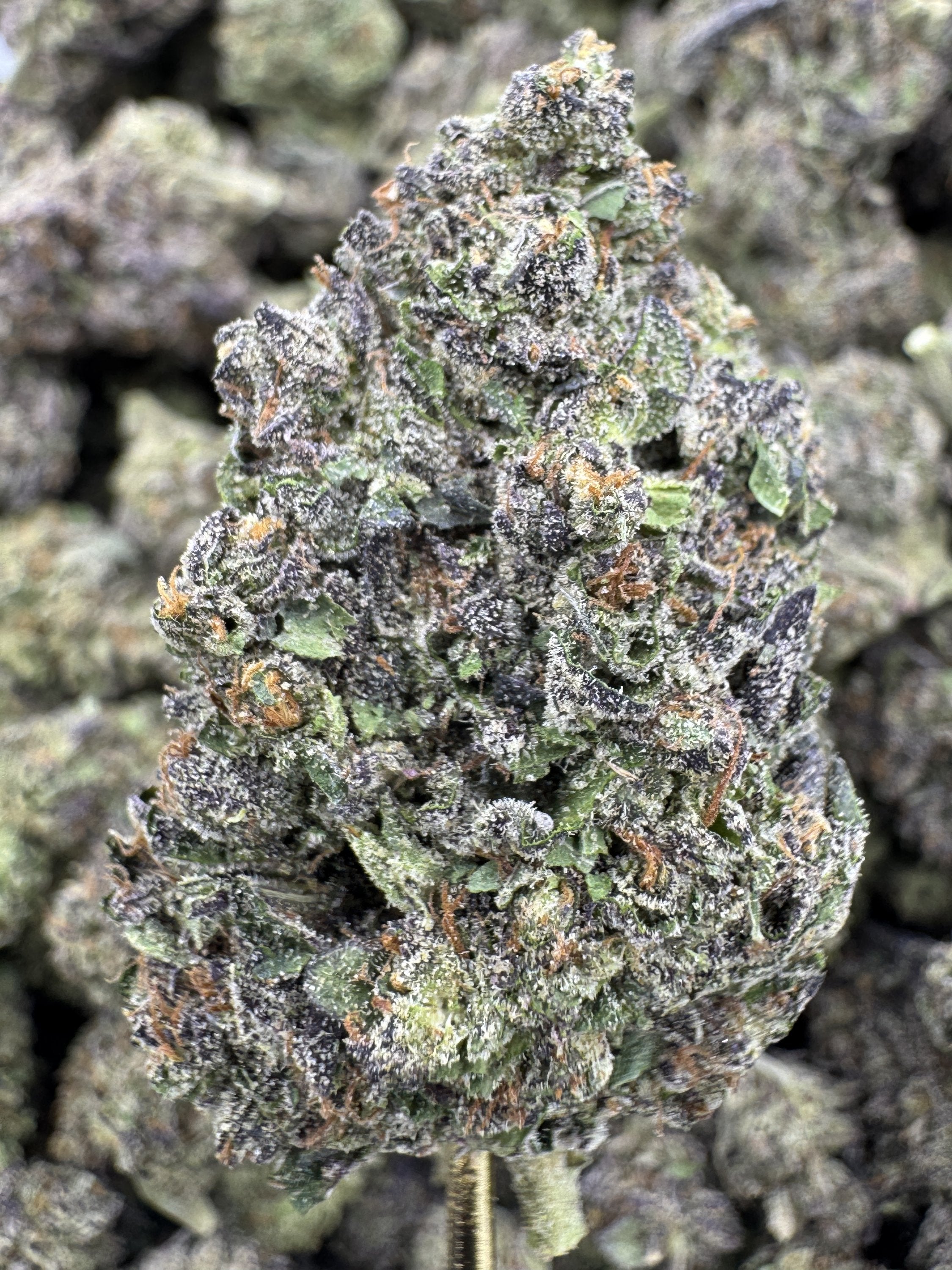 Insane Pound Cake - THCA BULK Flower - Greenhouse