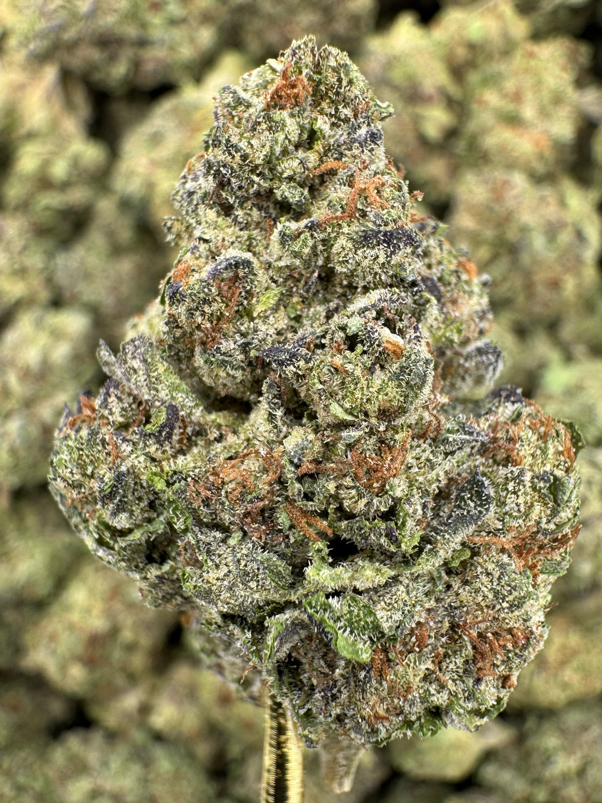 Insane Pound Cake - THCA Flower - Greenhouse Top Cut