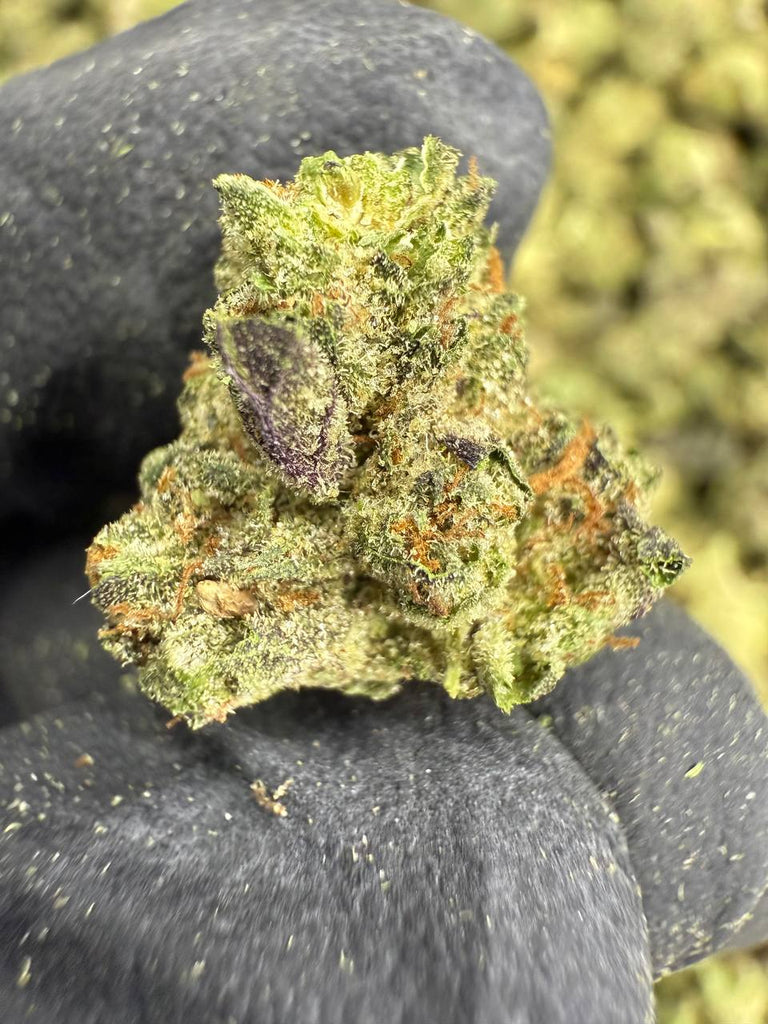 Insane Pound Cake - THCA BULK FLOWER - TOP SHELF SMALLS